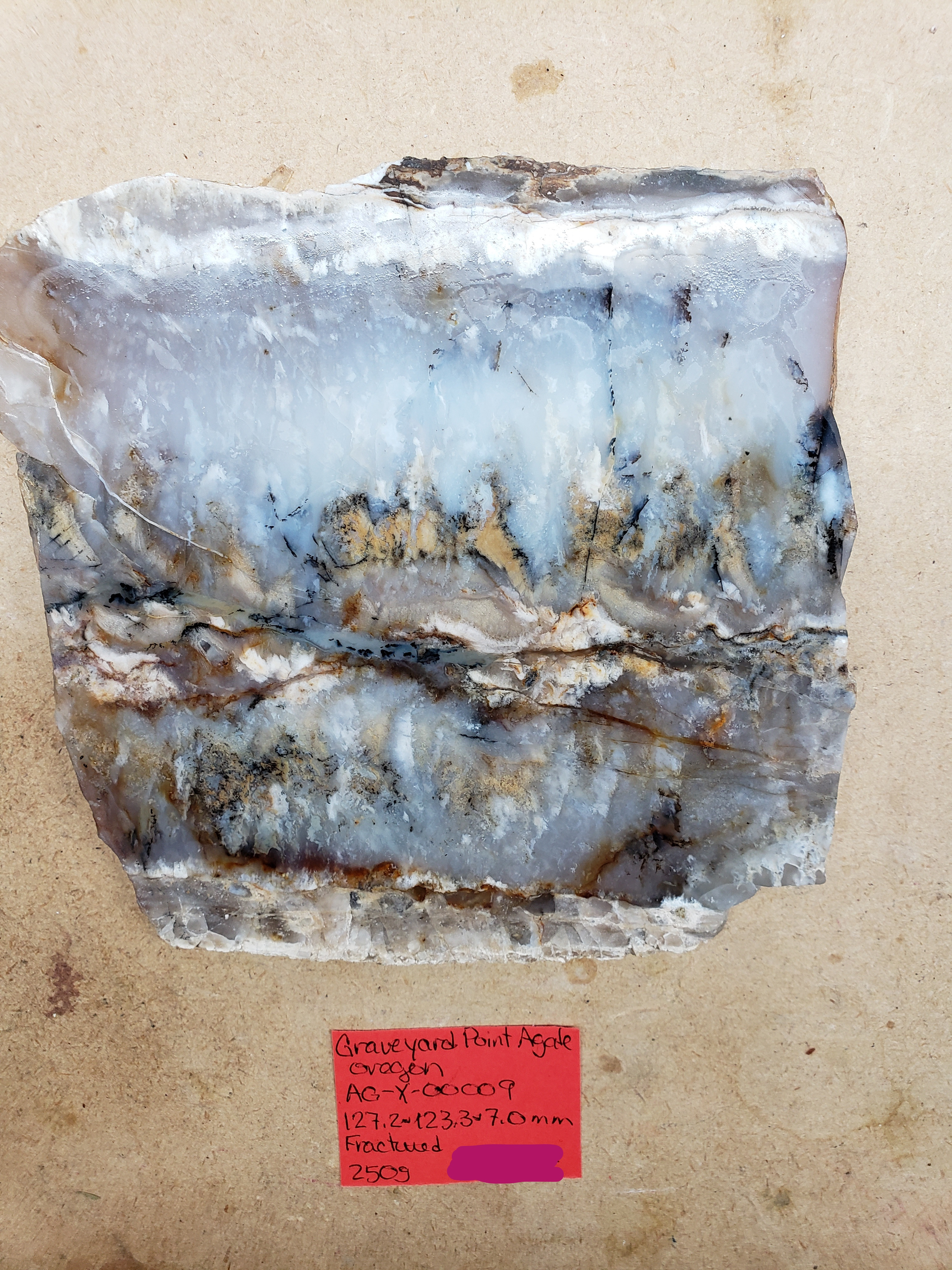 Graveyard Point Plume Agate AG-x-00009