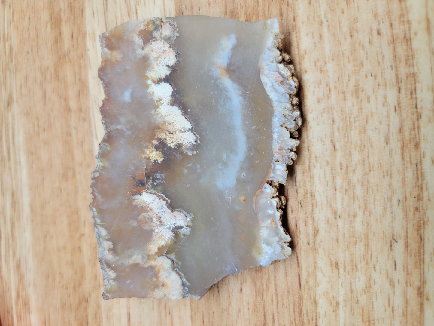 Graveyard Point Plume Agate AG-x-00090