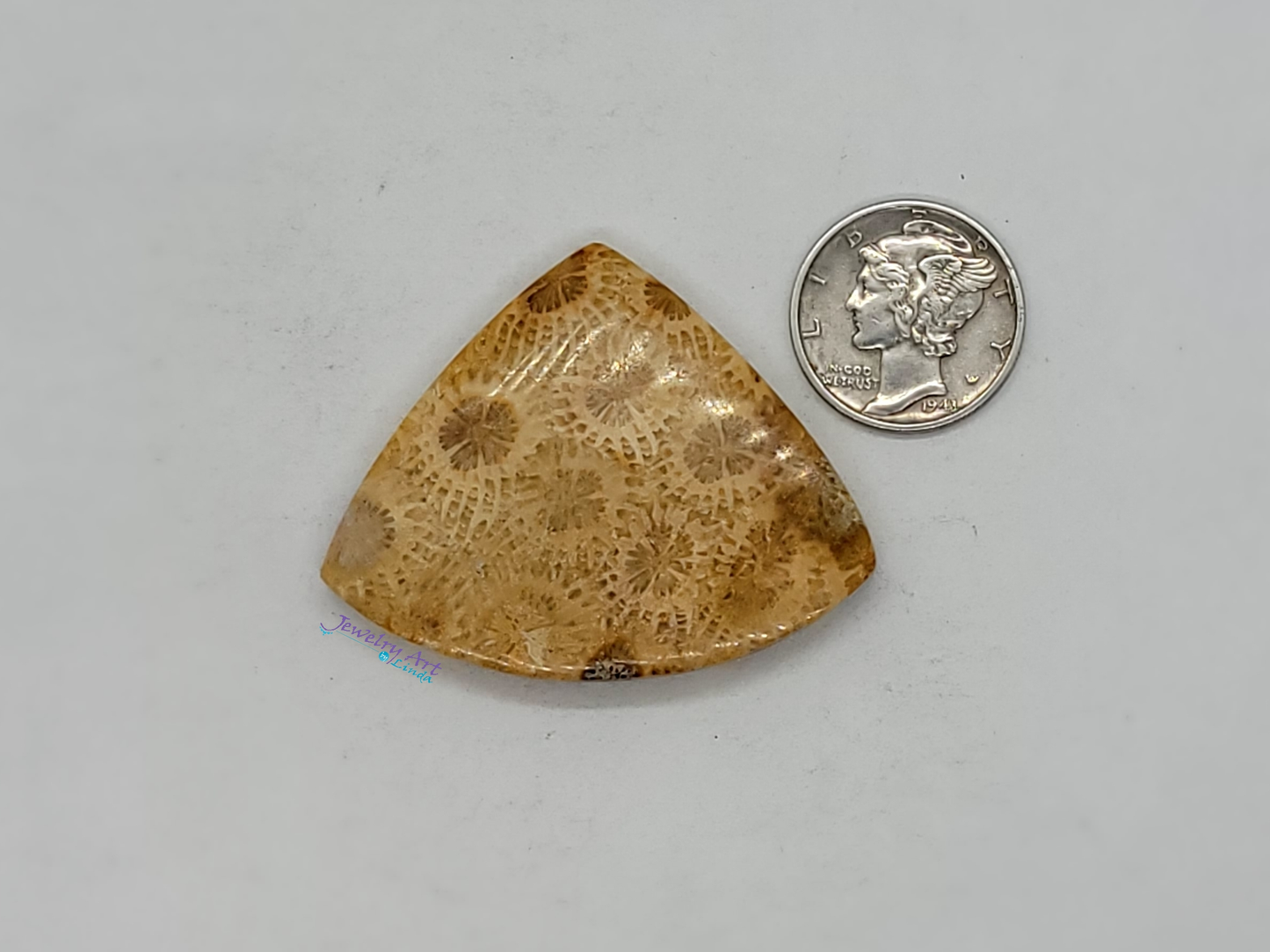 Petrified Coral FS-x-x-00046