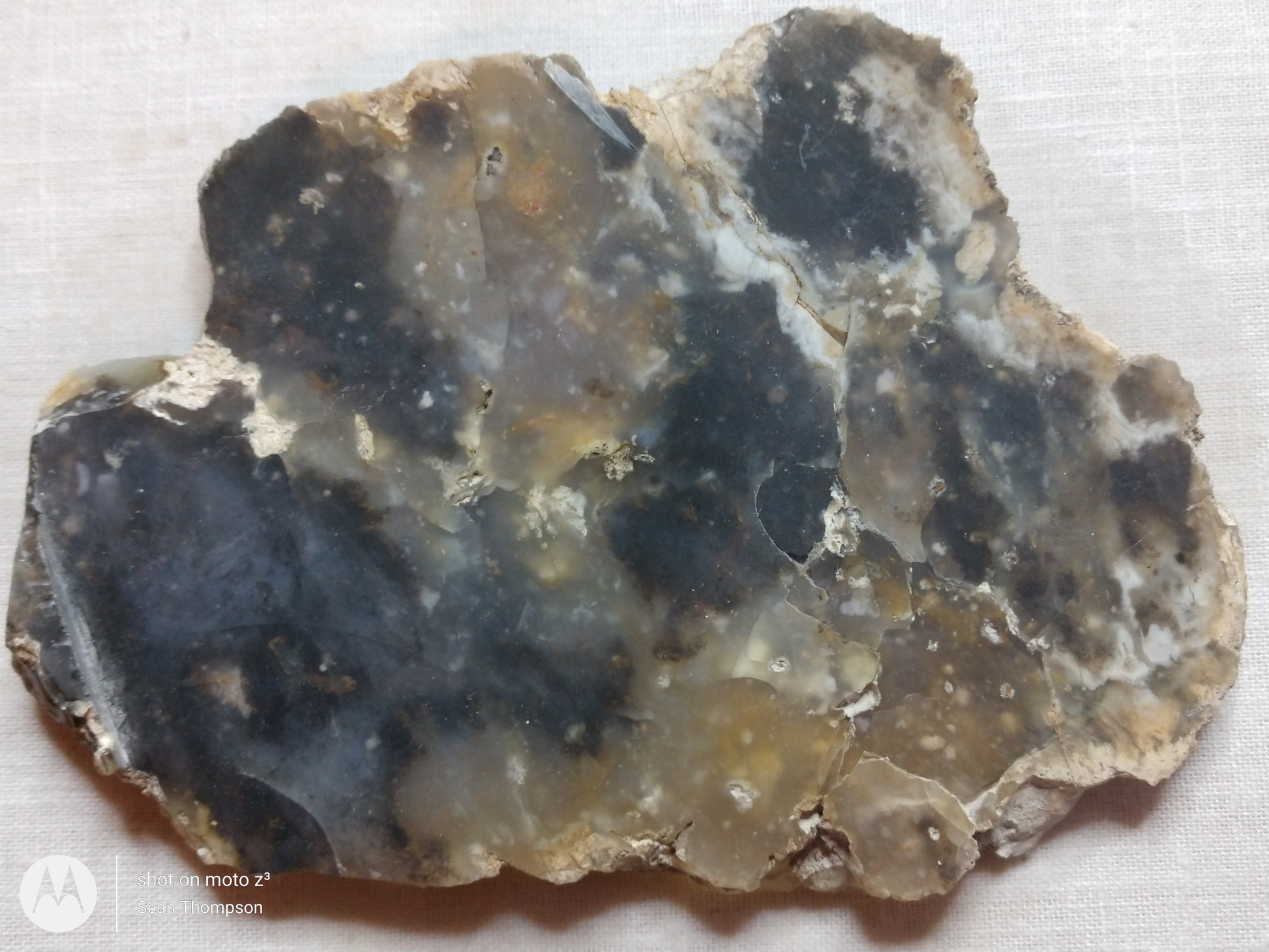 Brian Head Agate BH-00004-15