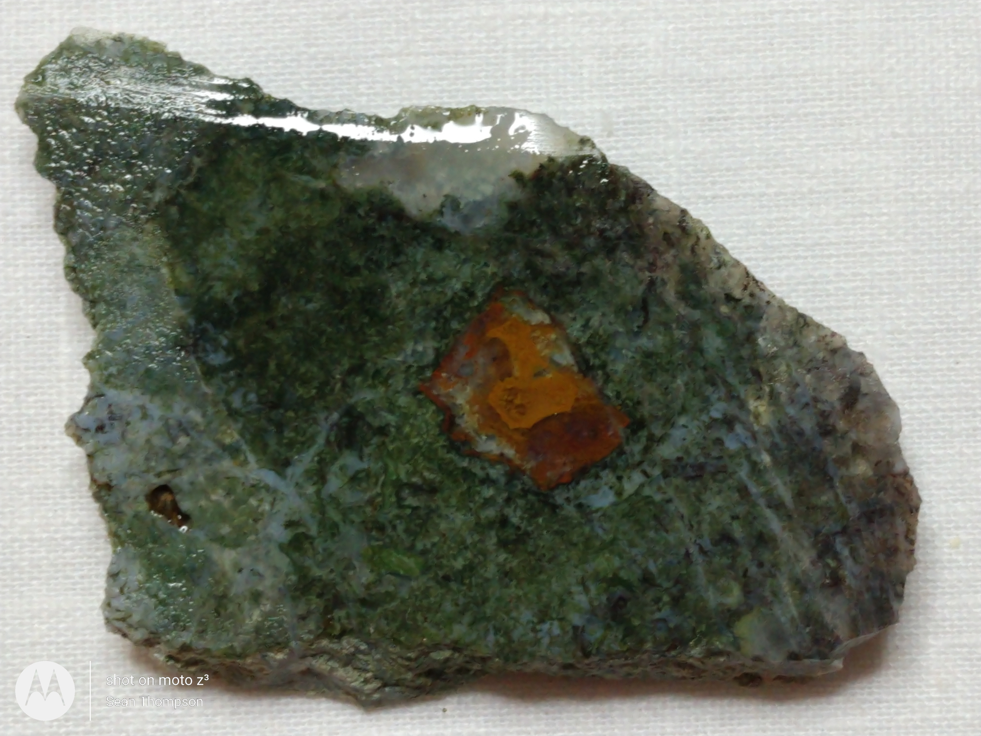 Holt Canyon Moss Agate HC-00013-01