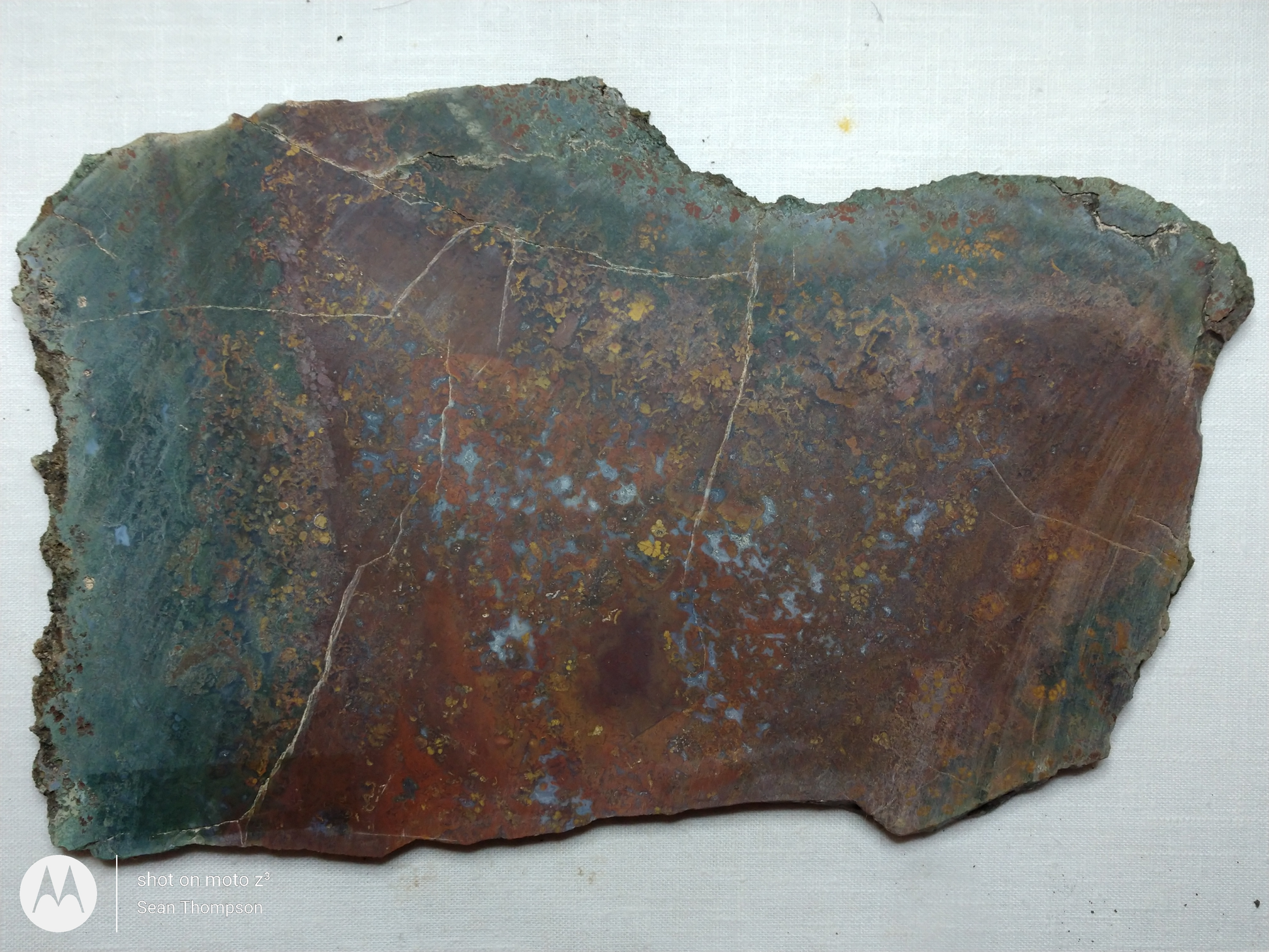 Holt Canyon Moss Agate HC-Bob-x1-00037