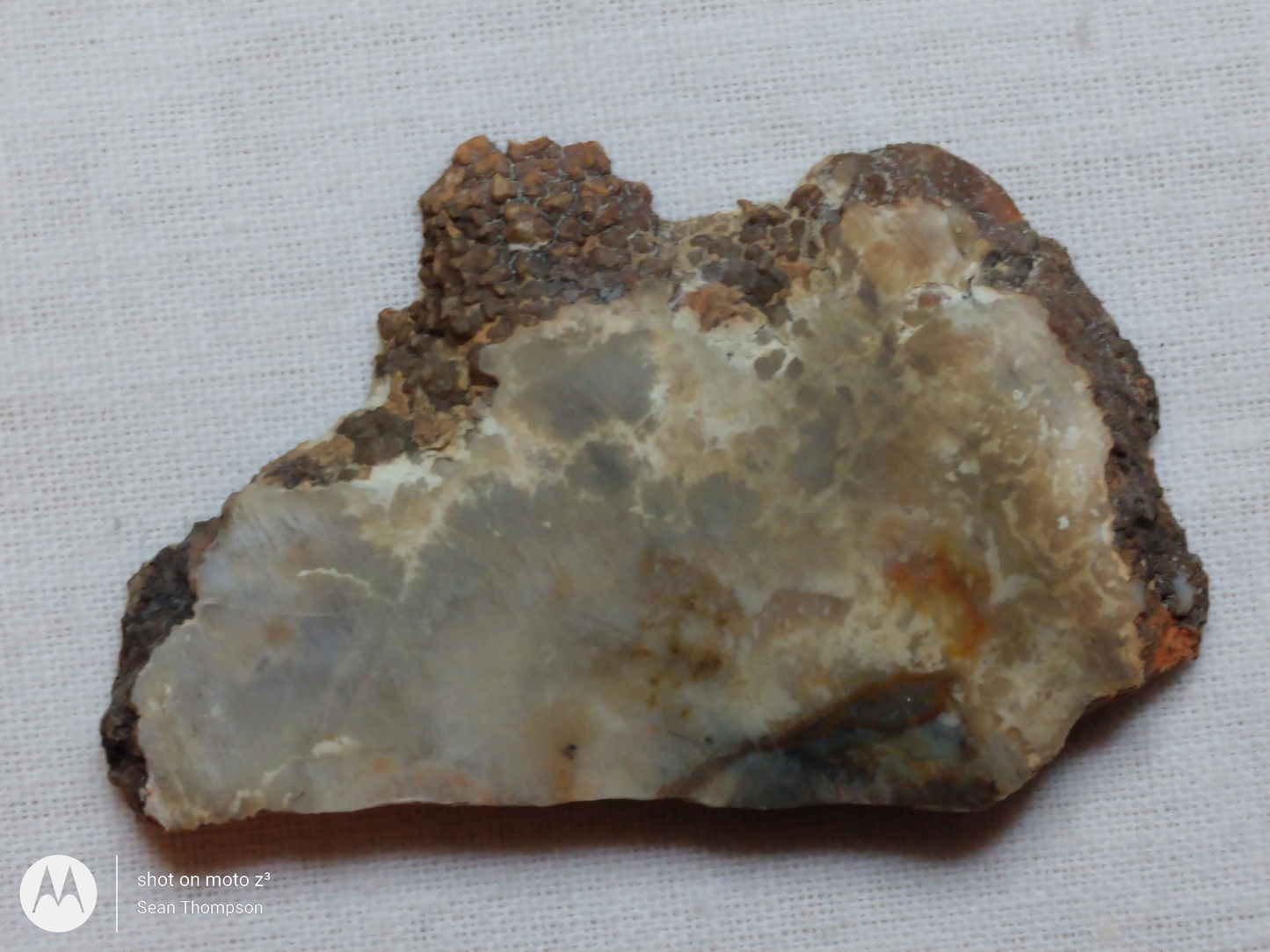 Coprolite FS-00006-02