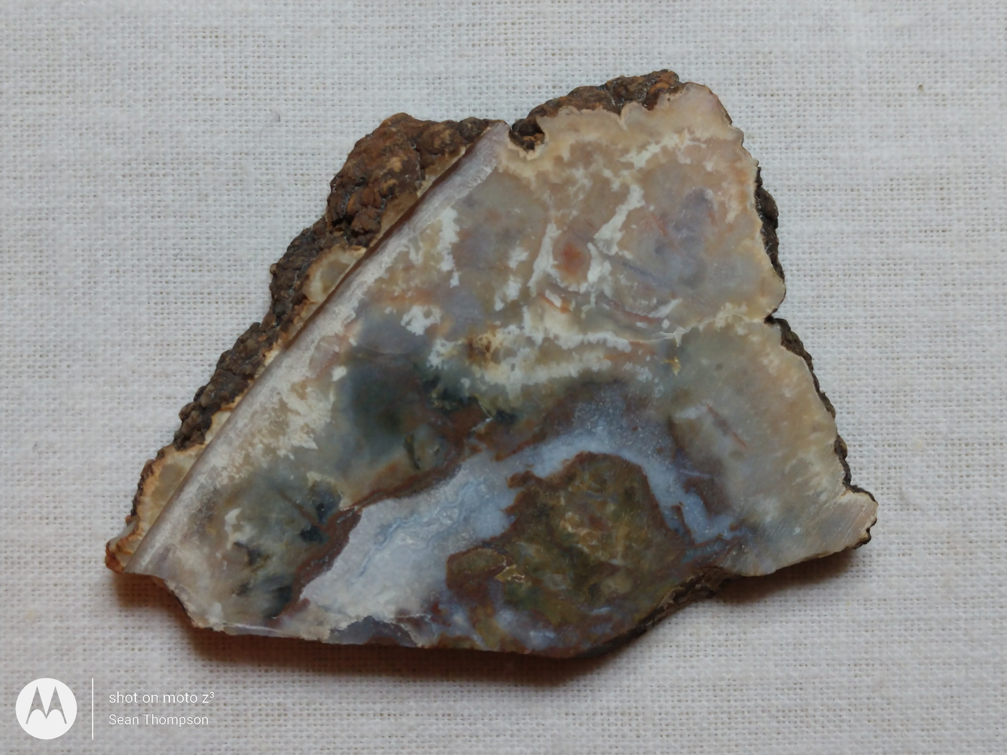 Coprolite FS-00006-07