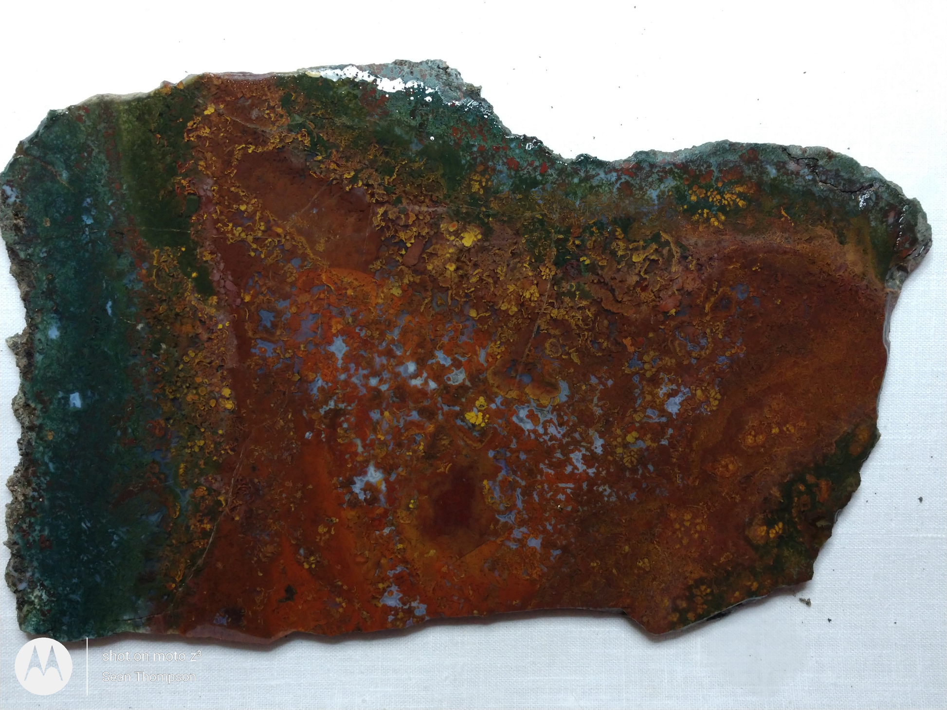 Holt Canyon Moss Agate HC-Bob-x1-00037