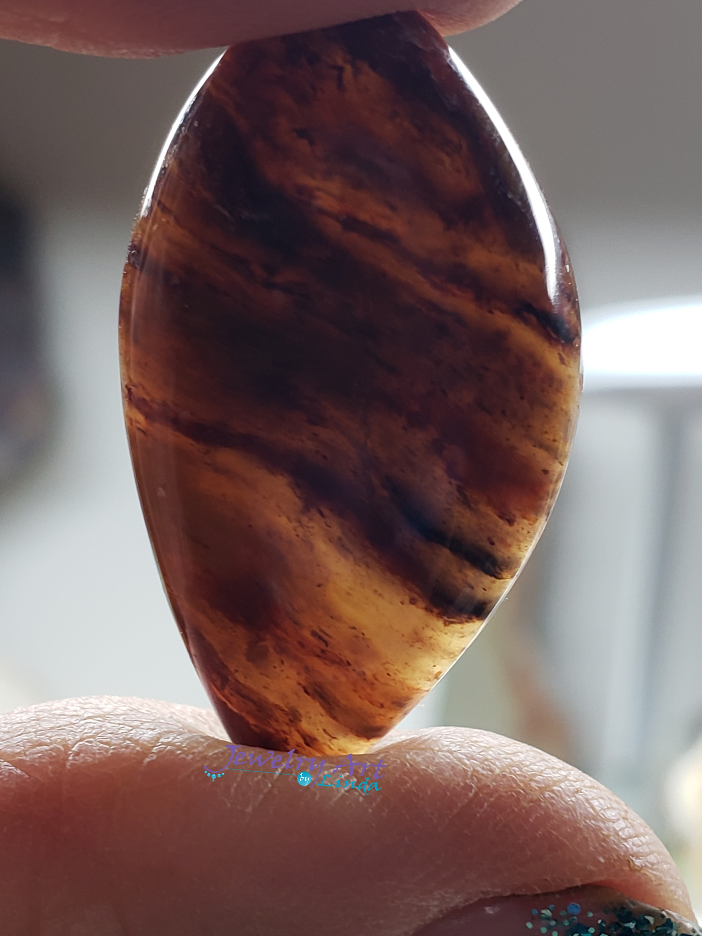 Petrified Wood PW-00003-02-01