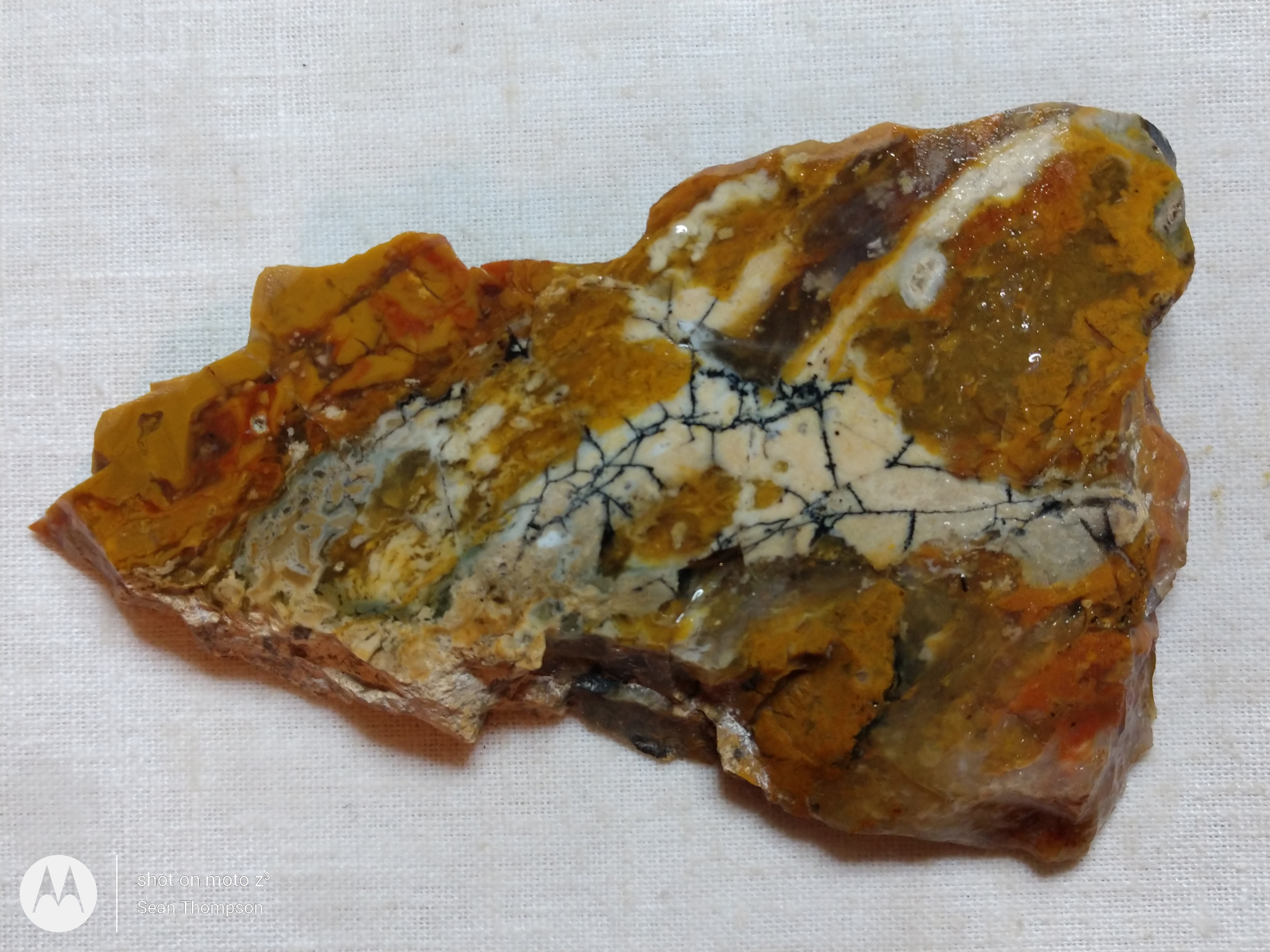 Brian Head Agate BH-00010-12