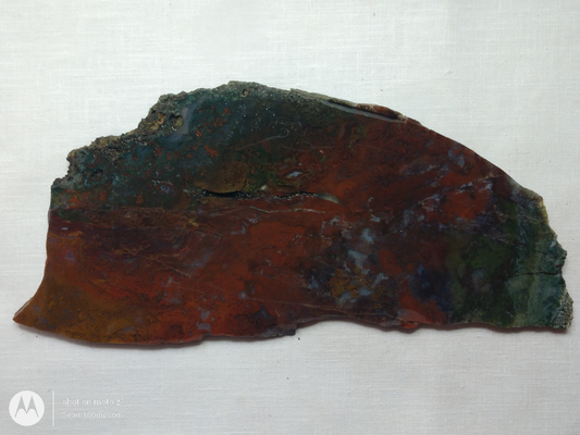 Holt Canyon Moss Agate HC-Bob-x1-00015
