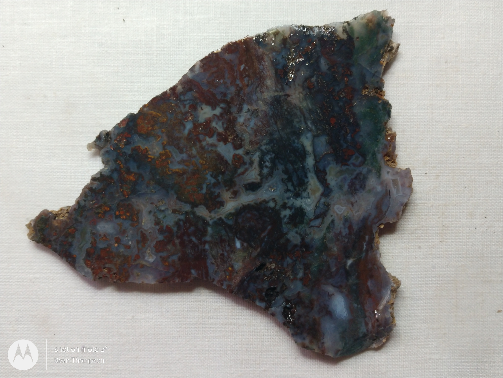 Holt Canyon Moss Agate HC-Bob-x1-00018