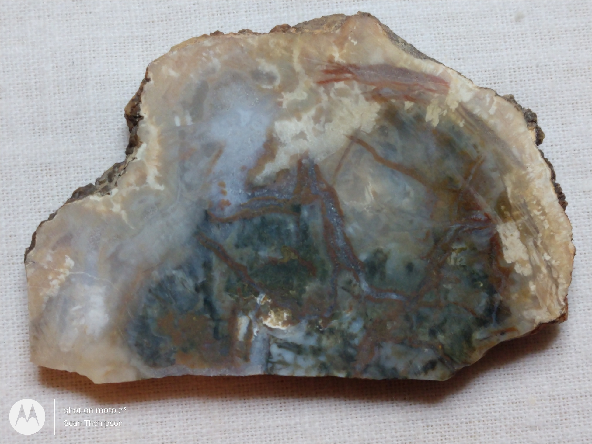 Coprolite FS-00006-04