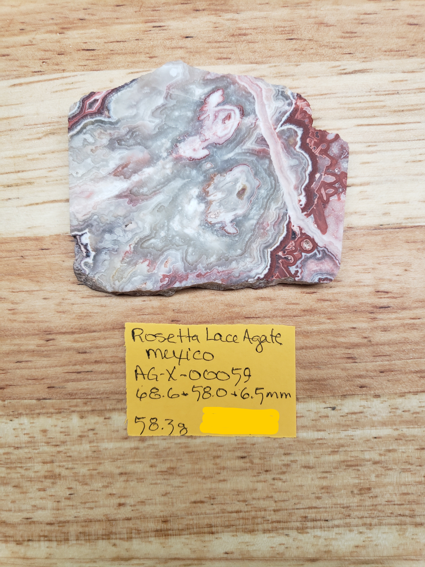 Rosetta Lace Agate AG-x-00059