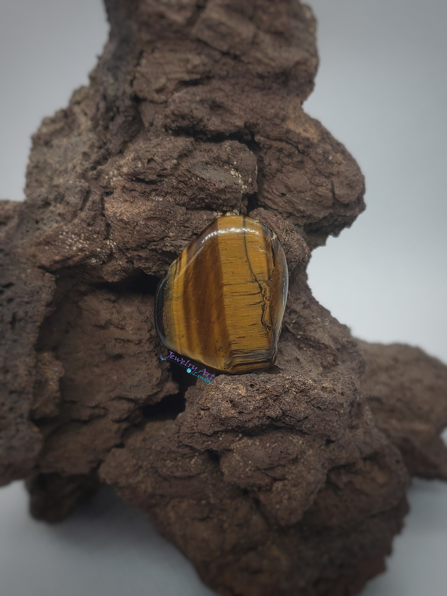 Tigers eye OT-x-x-00078