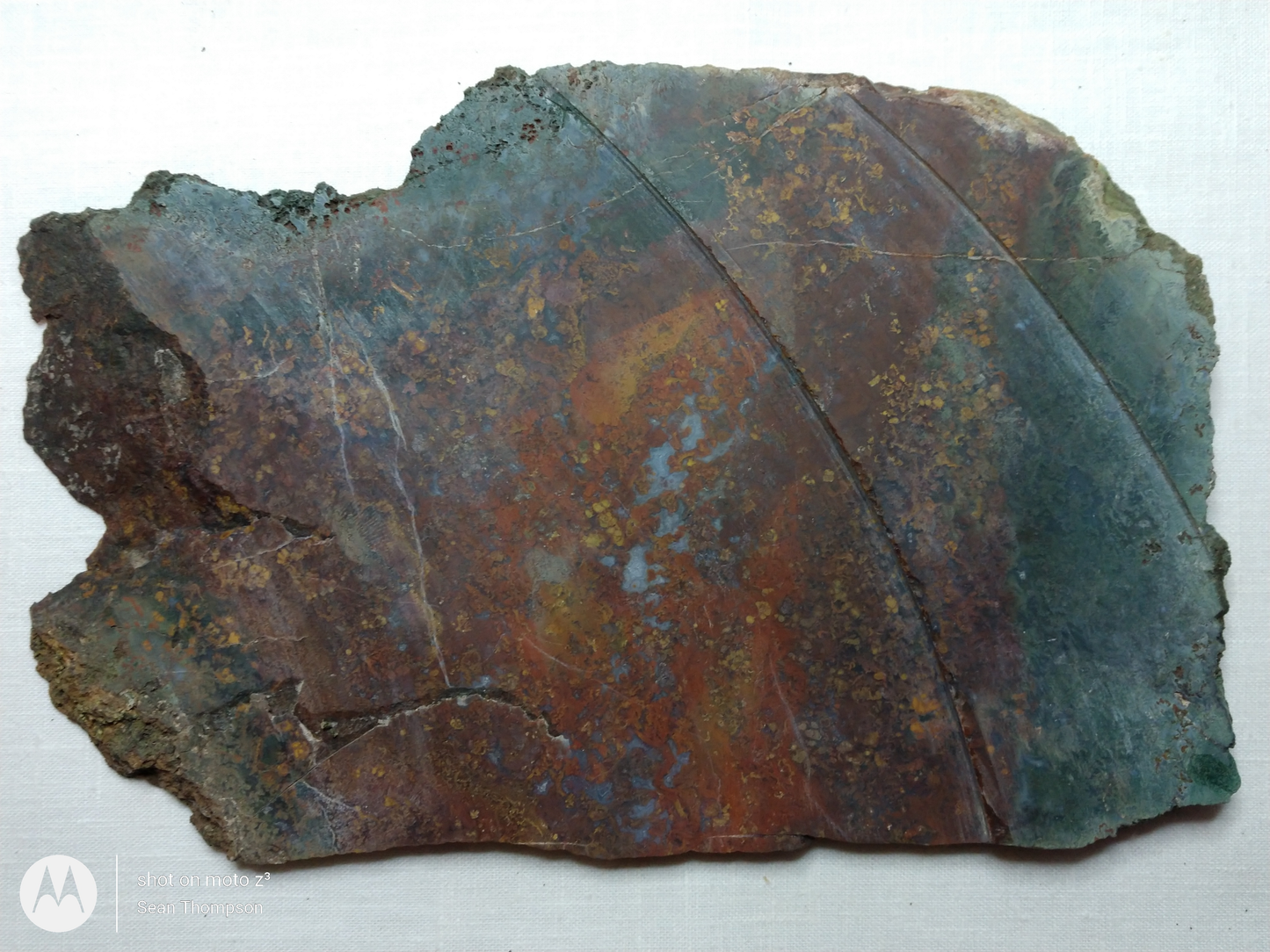 Holt Canyon Moss Agate HC-Bob-x1-00035