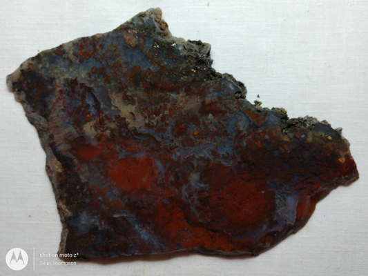 Holt Canyon Moss Agate HC-Bob-x1-00012