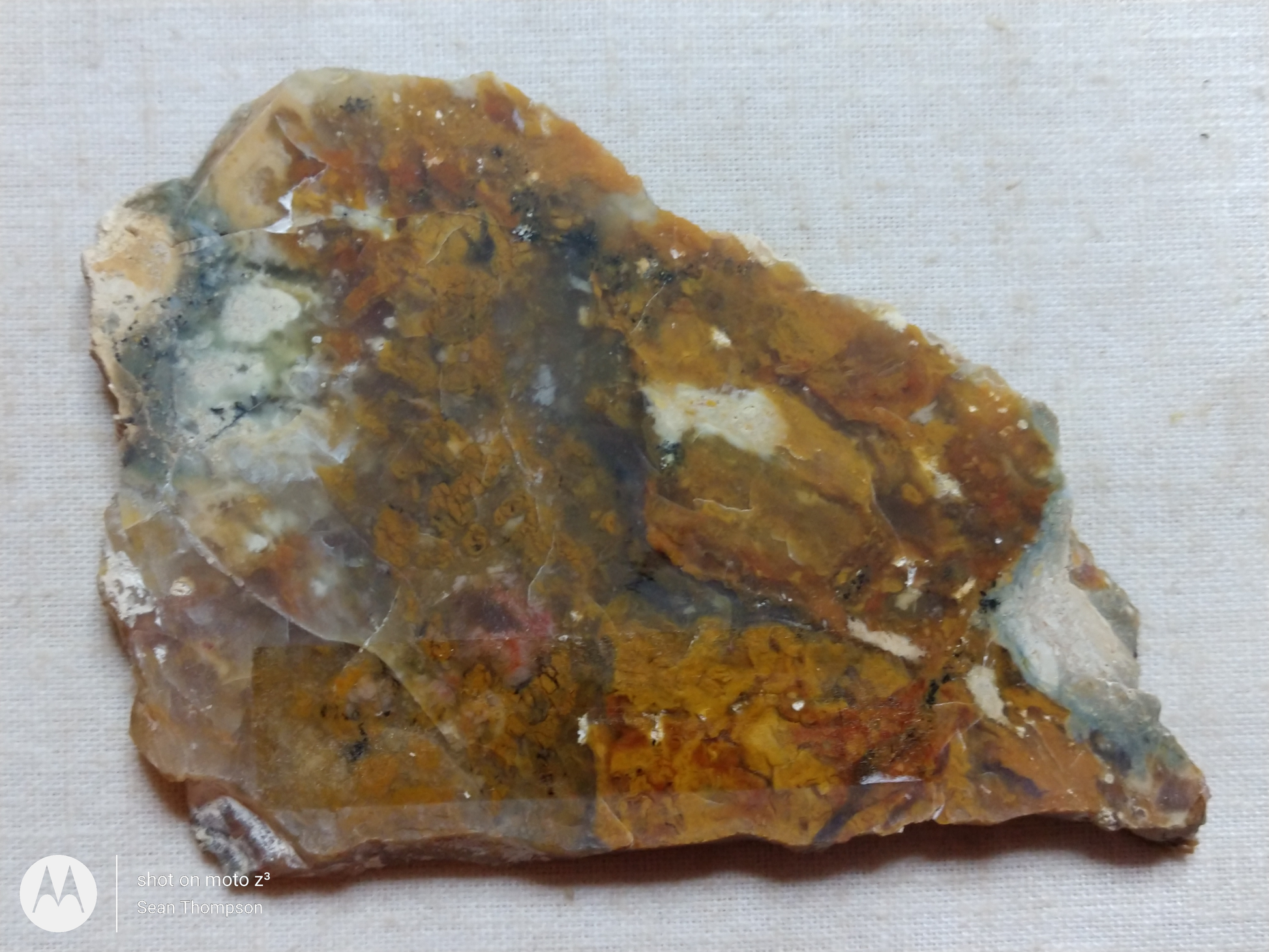 Brian Head Agate BH-00010-24