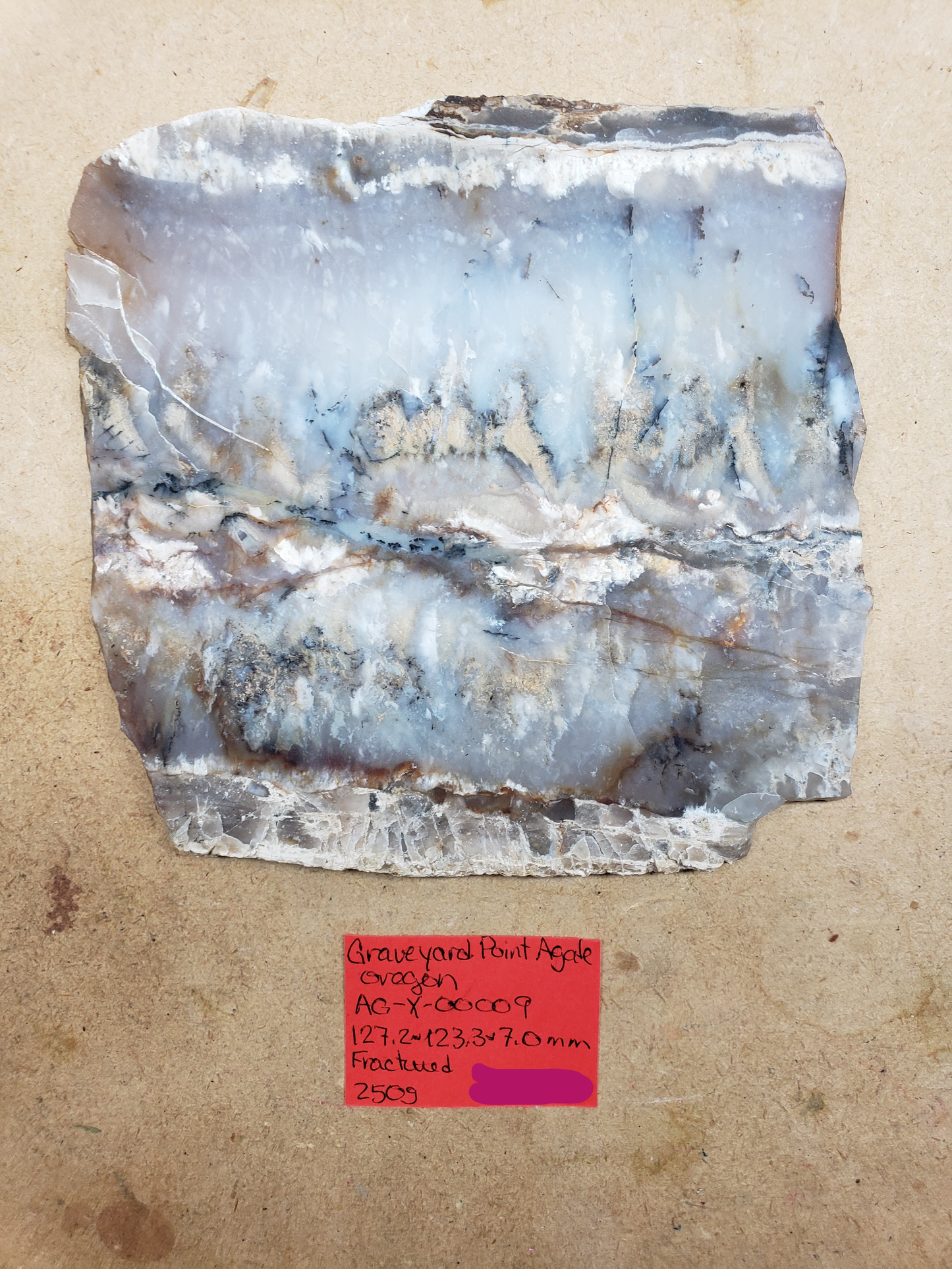 Graveyard Point Plume Agate AG-x-00009