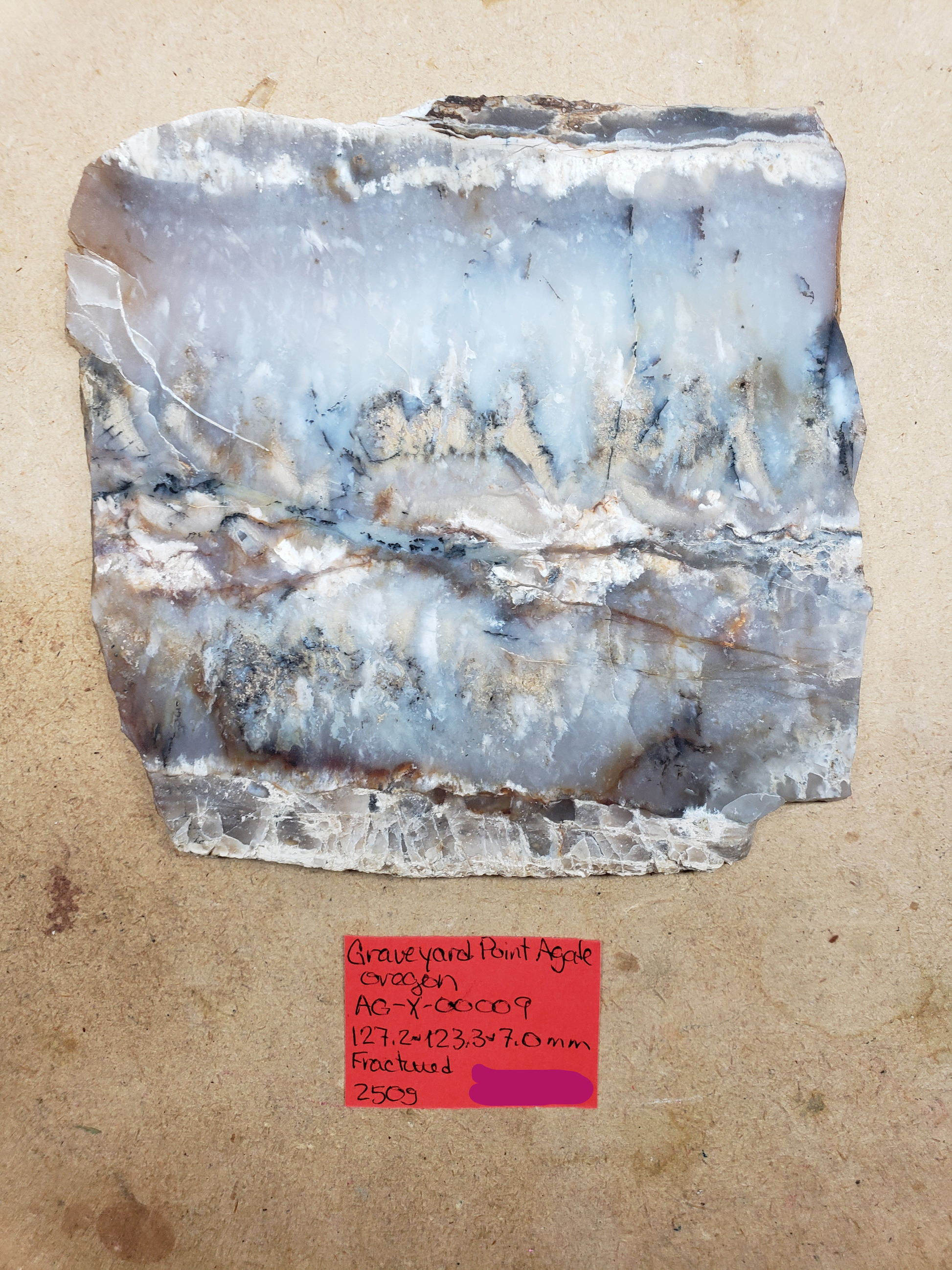 Graveyard Point Plume Agate AG-x-00009