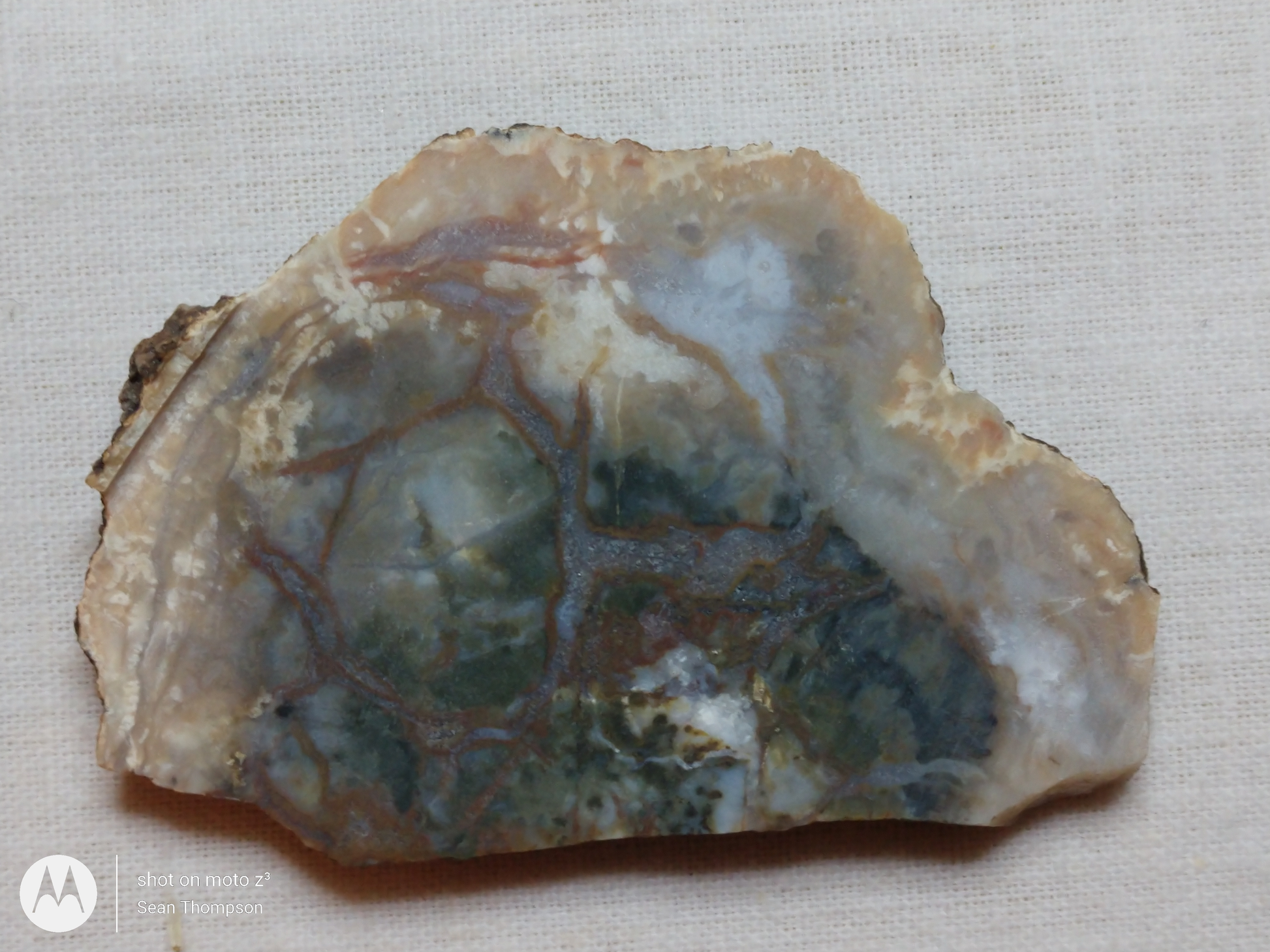 Coprolite FS-00006-04