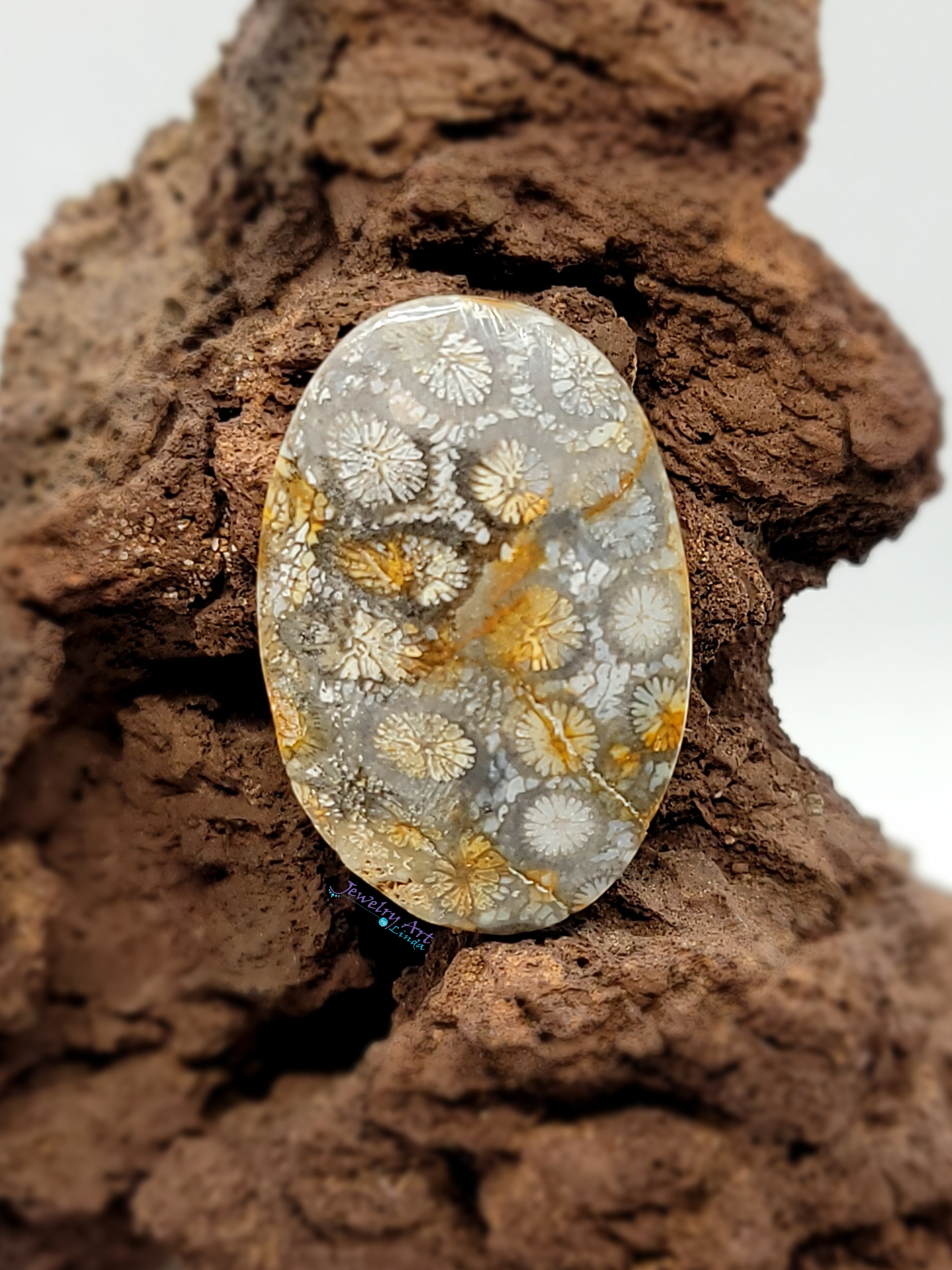 Petrified Black Coral FS-x-x-00053