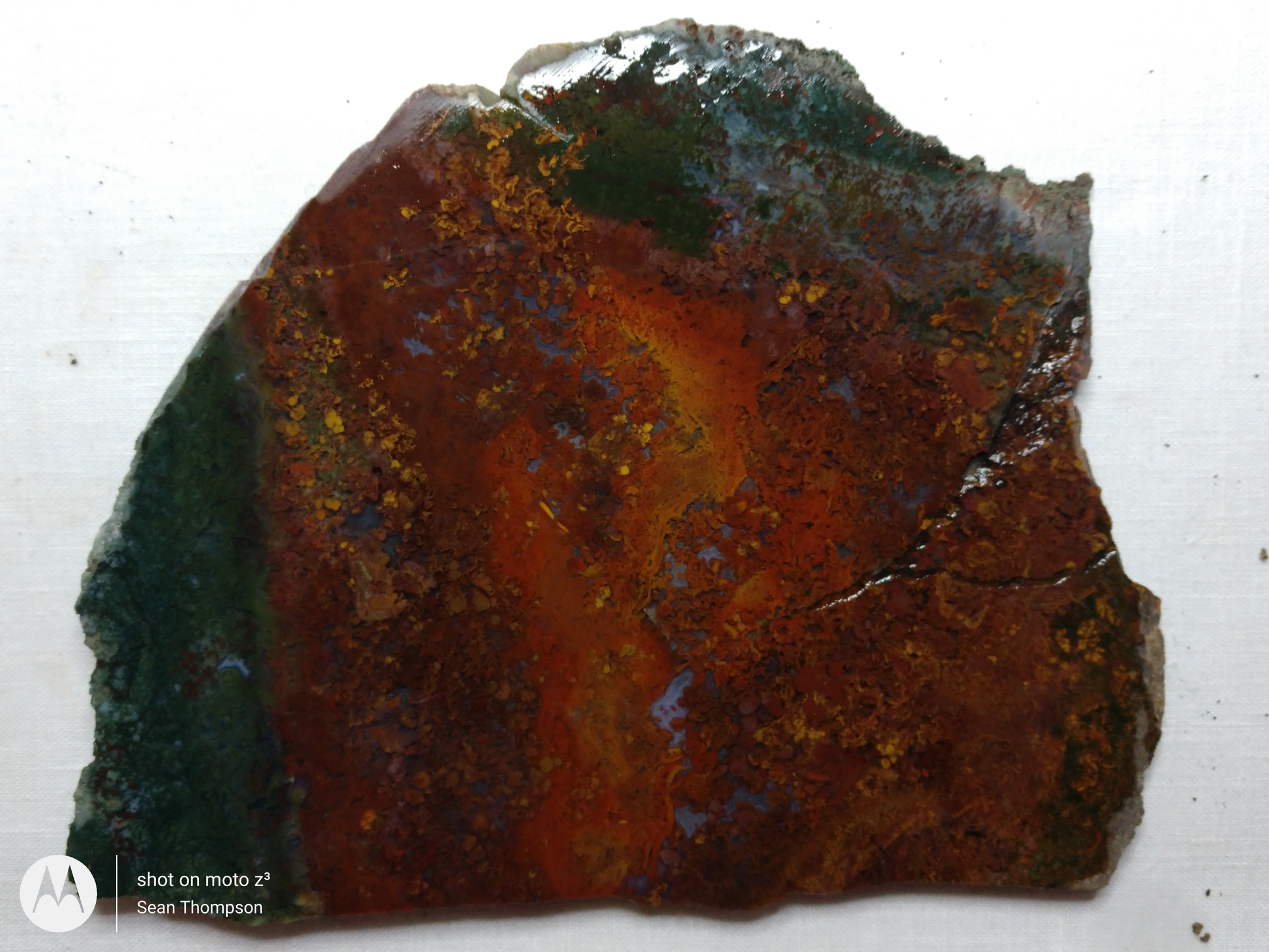 Holt Canyon Moss Agate HC-Bob-x1-00036