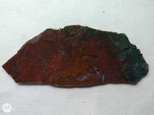 Holt Canyon Moss Agate HC-Bob-x1-00020