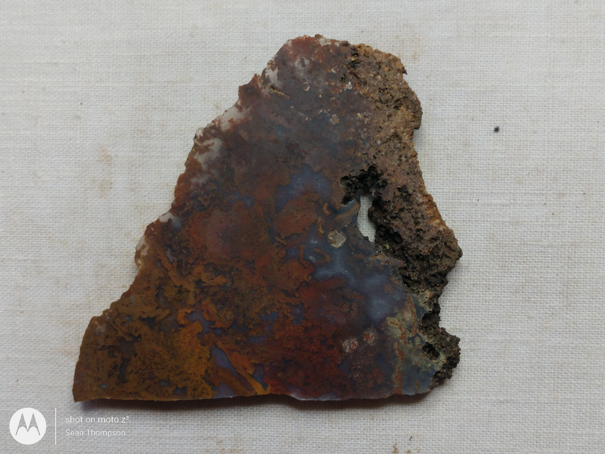 Holt Canyon Moss Agate HC-Bob-x1-00032