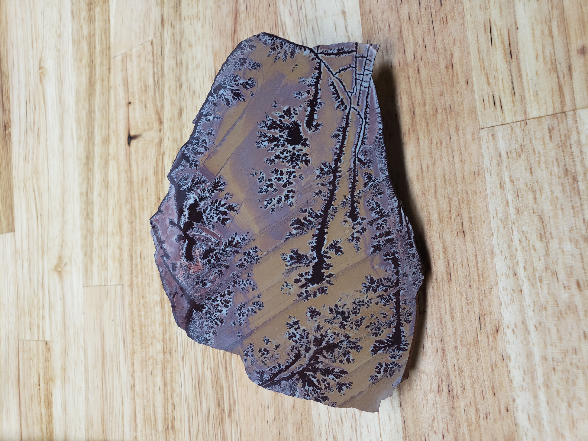 Sonoran Dendritic Jasper JA-x-00006