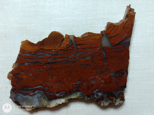 Holt Canyon Agate HC-00012-11