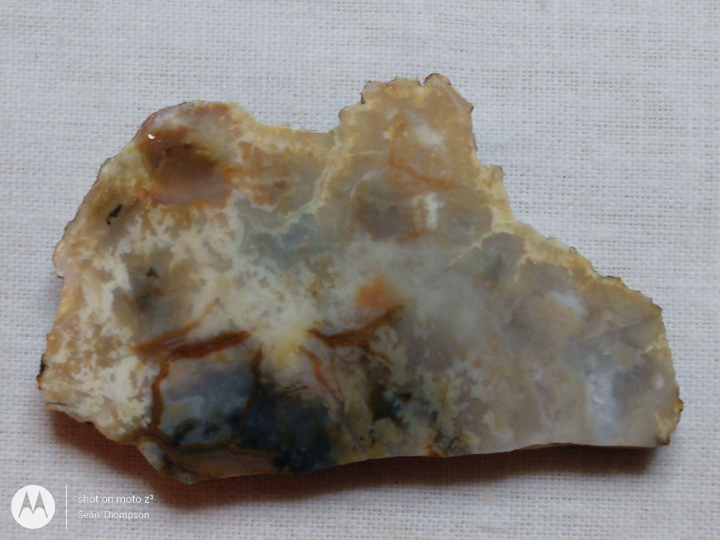 Coprolite FS-00006-02