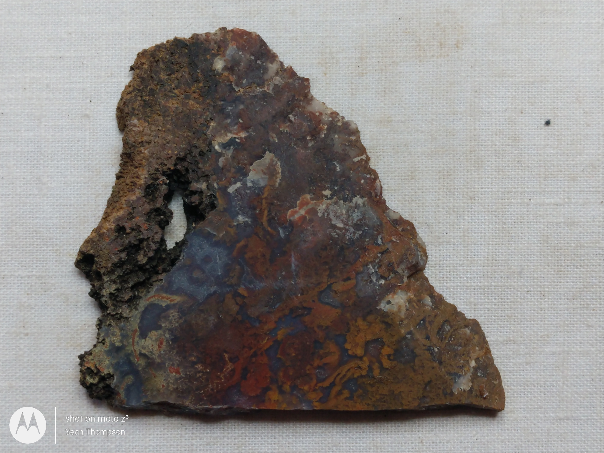 Holt Canyon Moss Agate HC-Bob-x1-00032