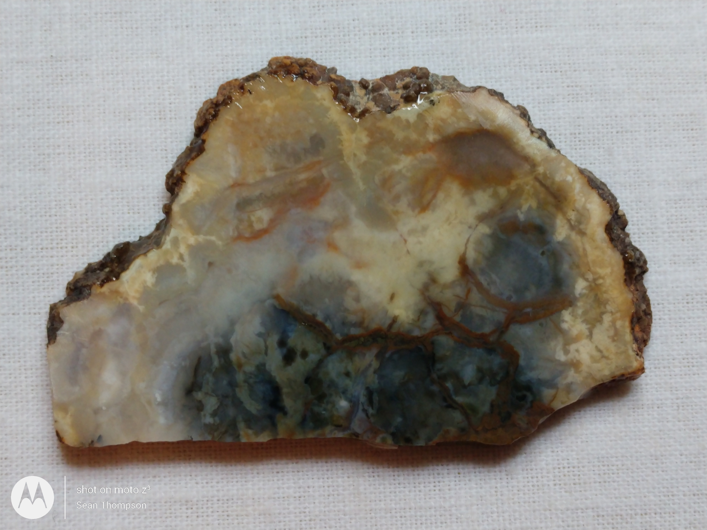 Coprolite FS-00006-03