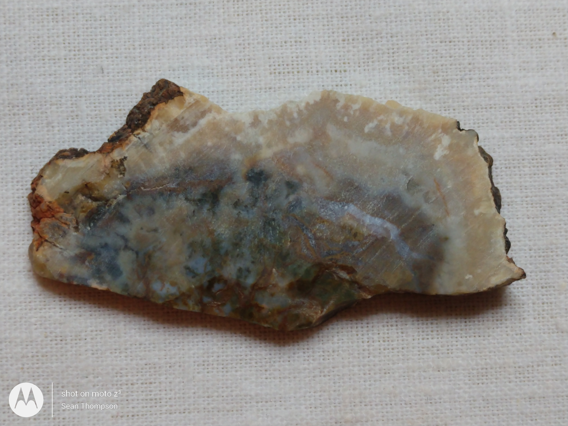 Coprolite FS-00006-08