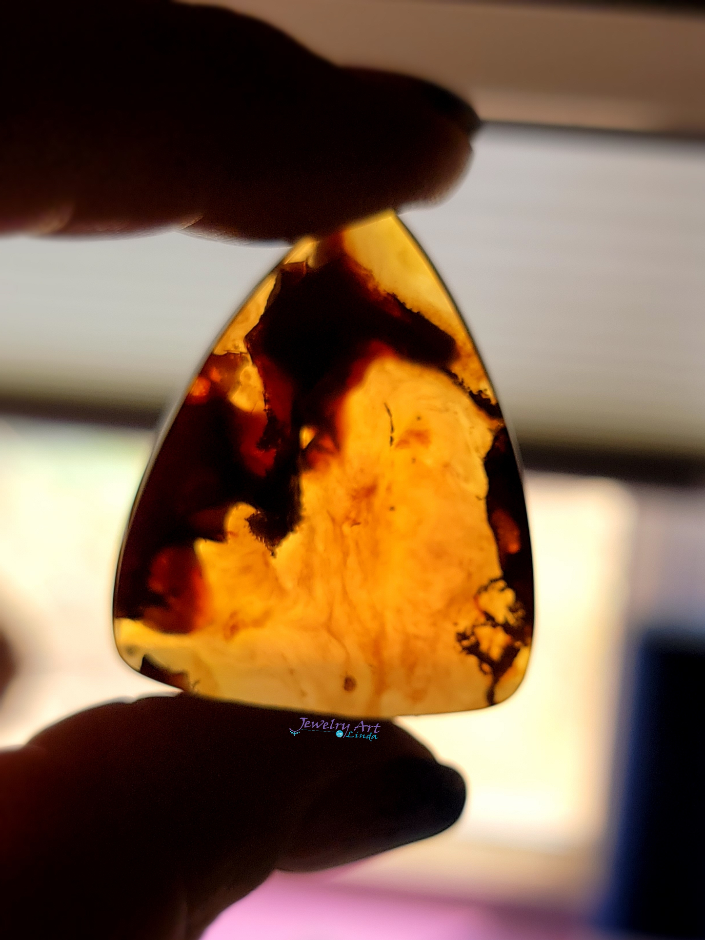 Baltic Amber FS-x-x-00056