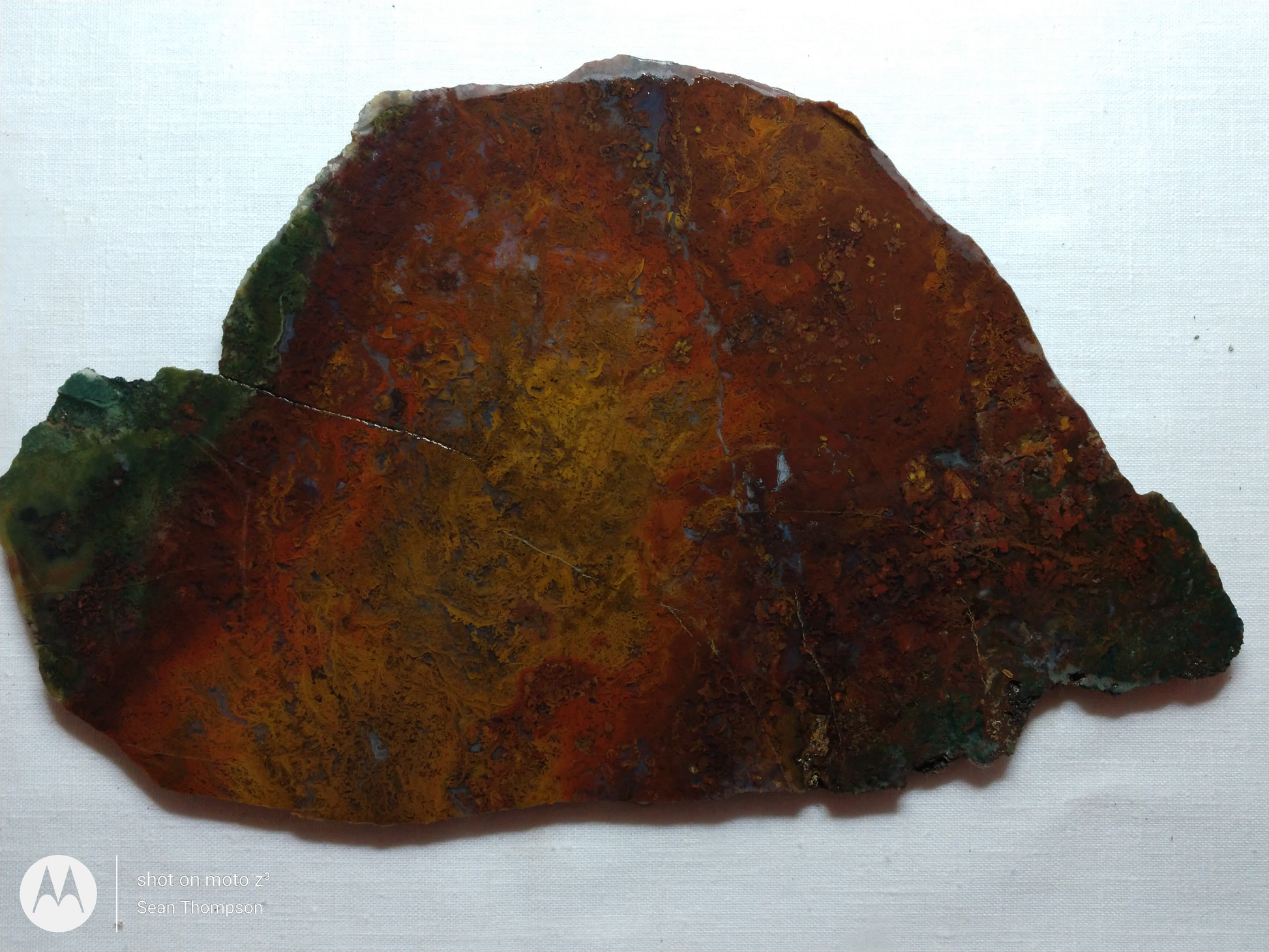 Holt Canyon Moss Agate HC-Bob-x1-00009