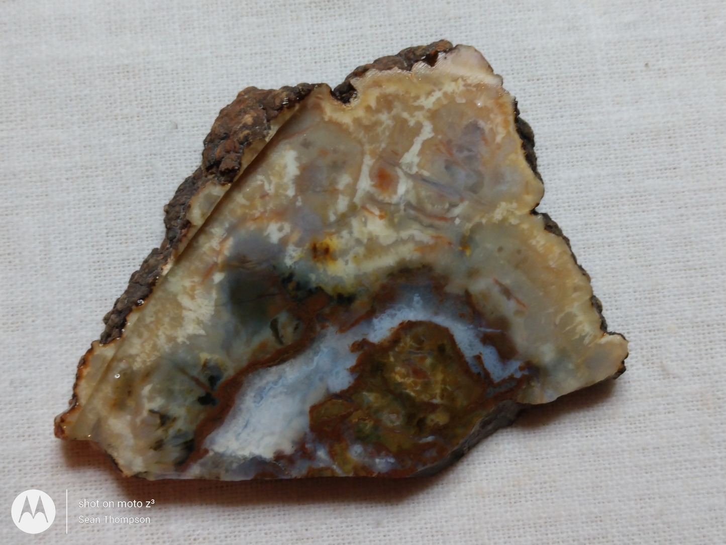 Coprolite FS-00006-07