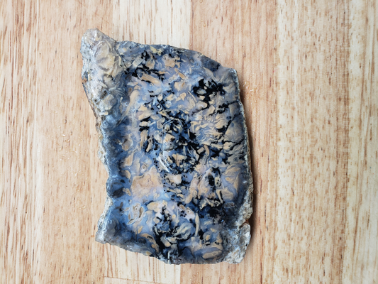 Tiger Dendrite Plume Agate AG-x-00064