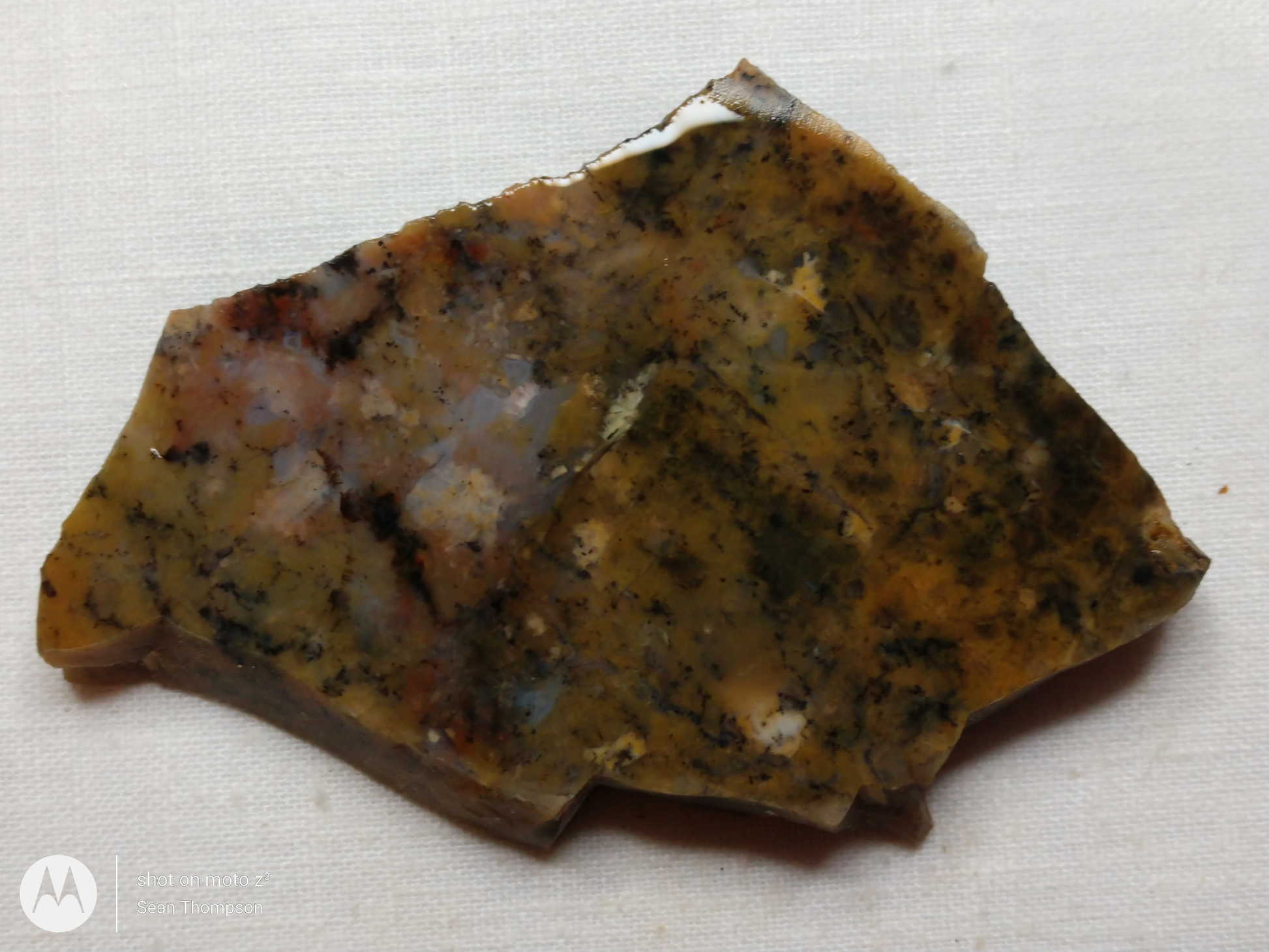 Holt Canyon Agate HC-00015-04