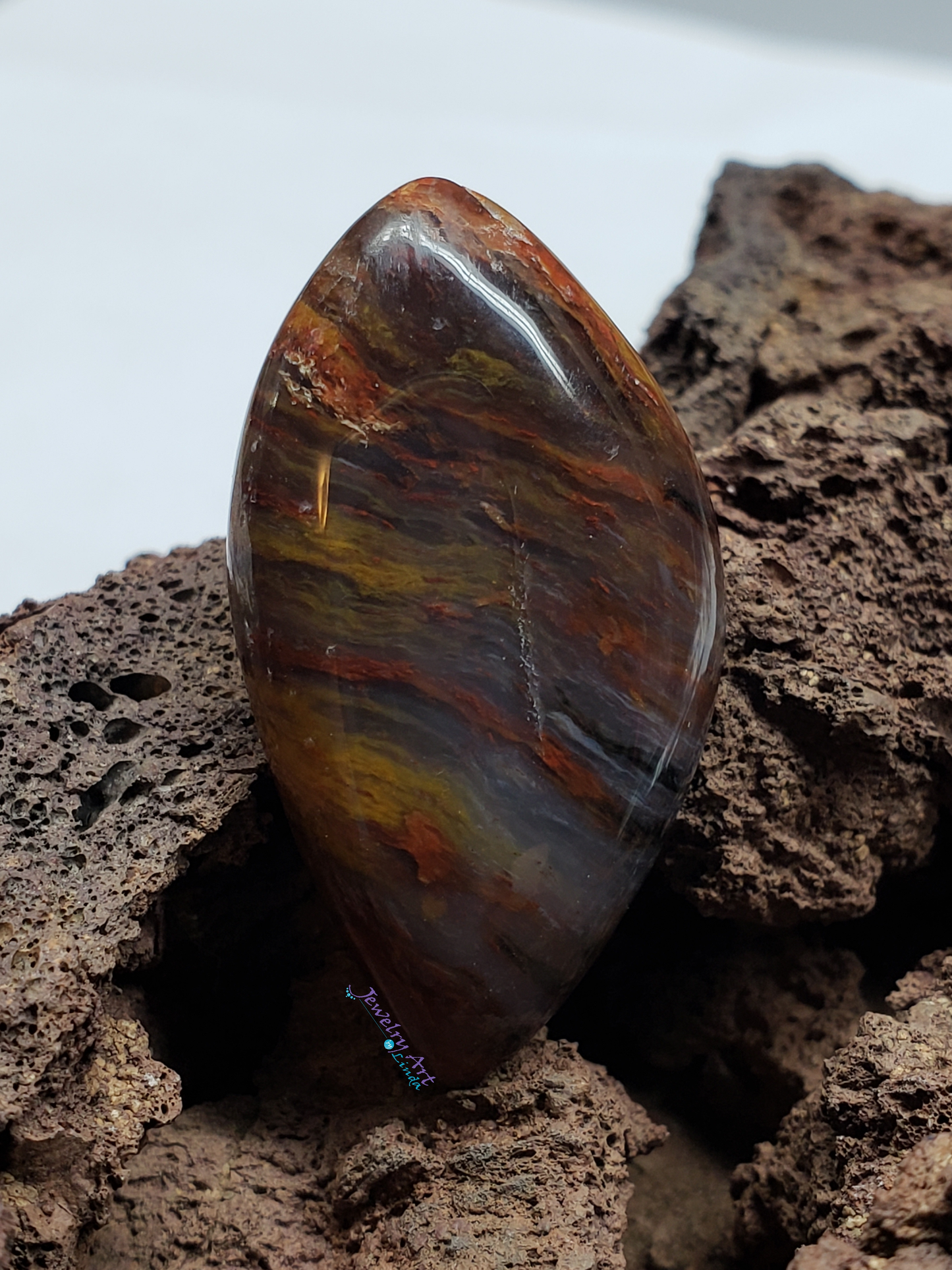 Petrified Wood PW-00003-02-01