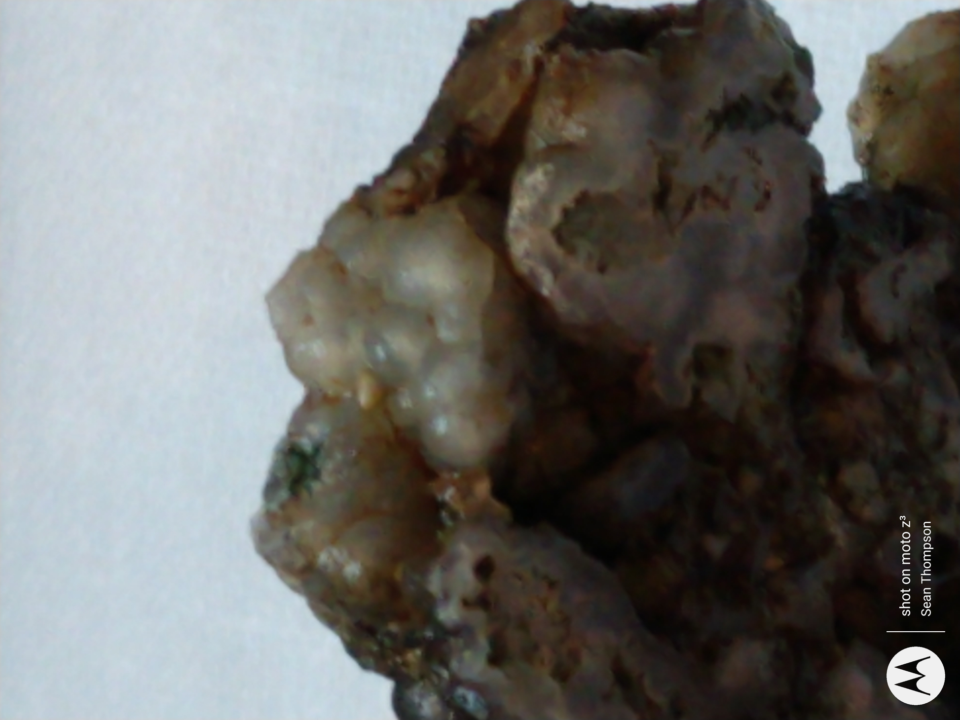 Holt Canyon Moss Agate HC-00014-01