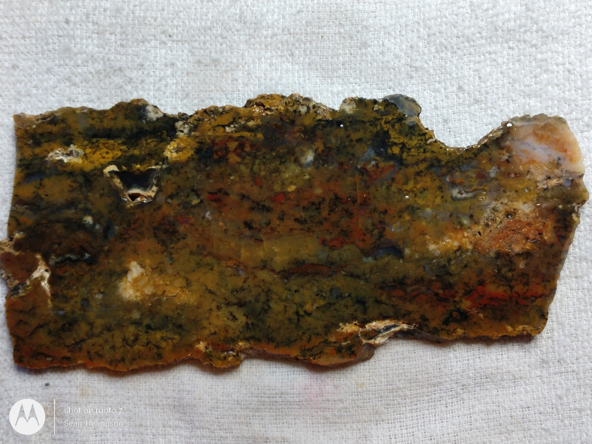 Brian Head Agate BH-00005-09