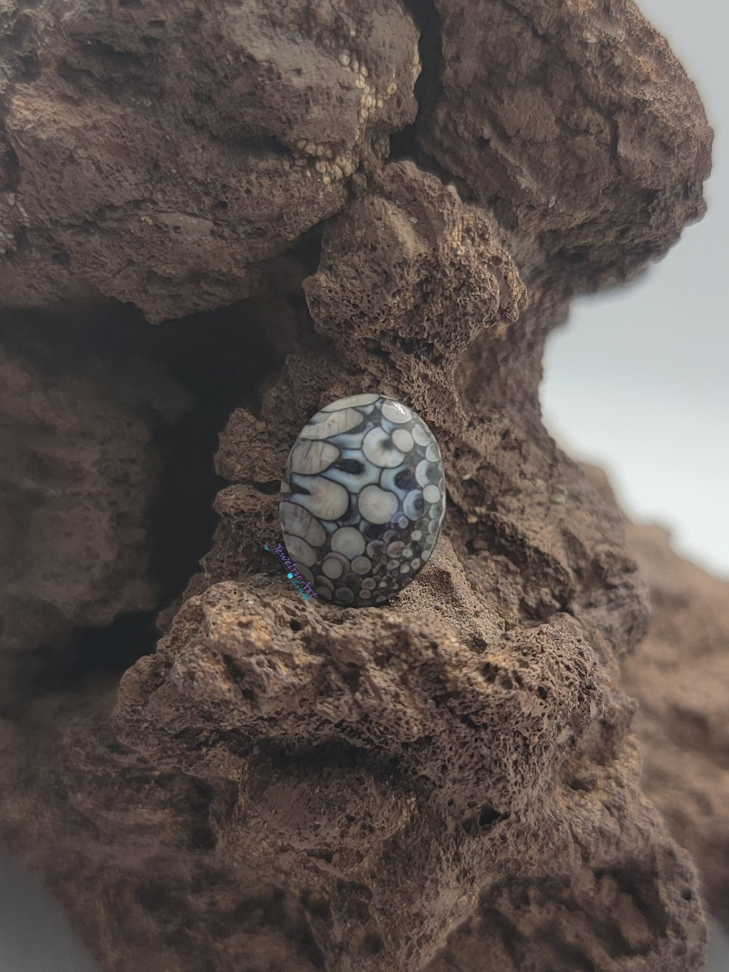 Petrified Palate of Ancient Wrasse Snakeskin FS-x-x-00087