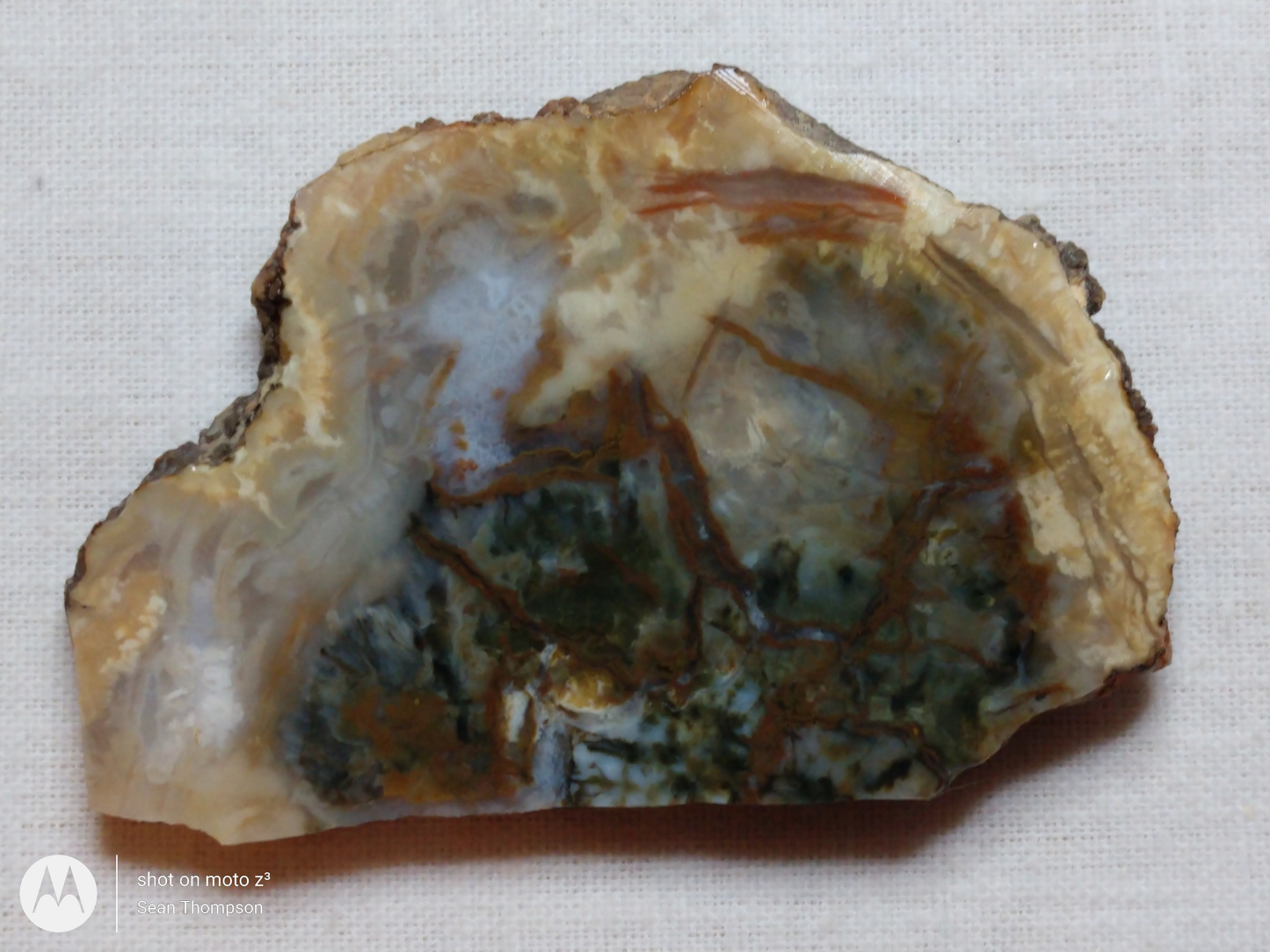 Coprolite FS-00006-04