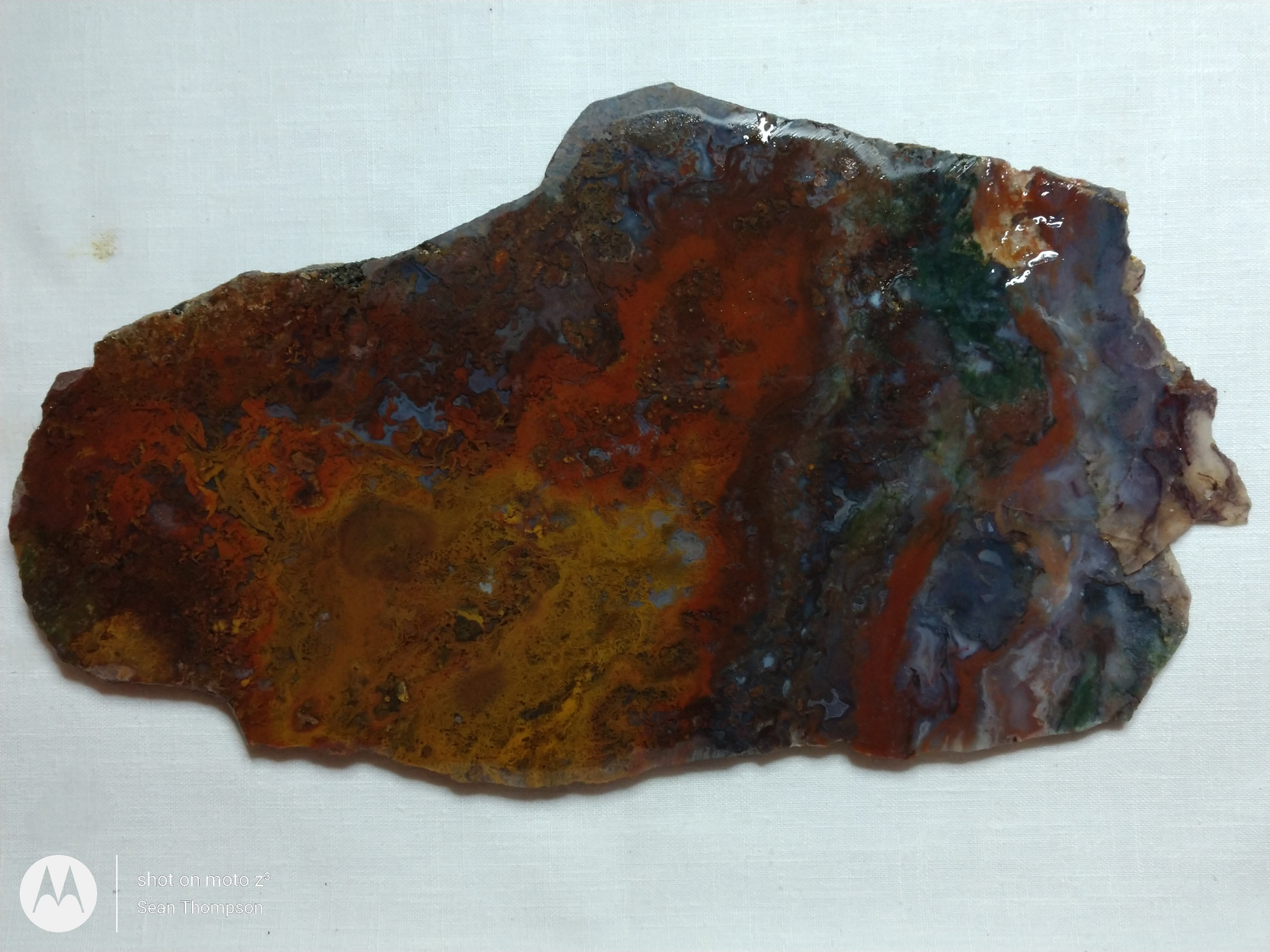 Holt Canyon Moss Agate HC-Bob-x1-00003