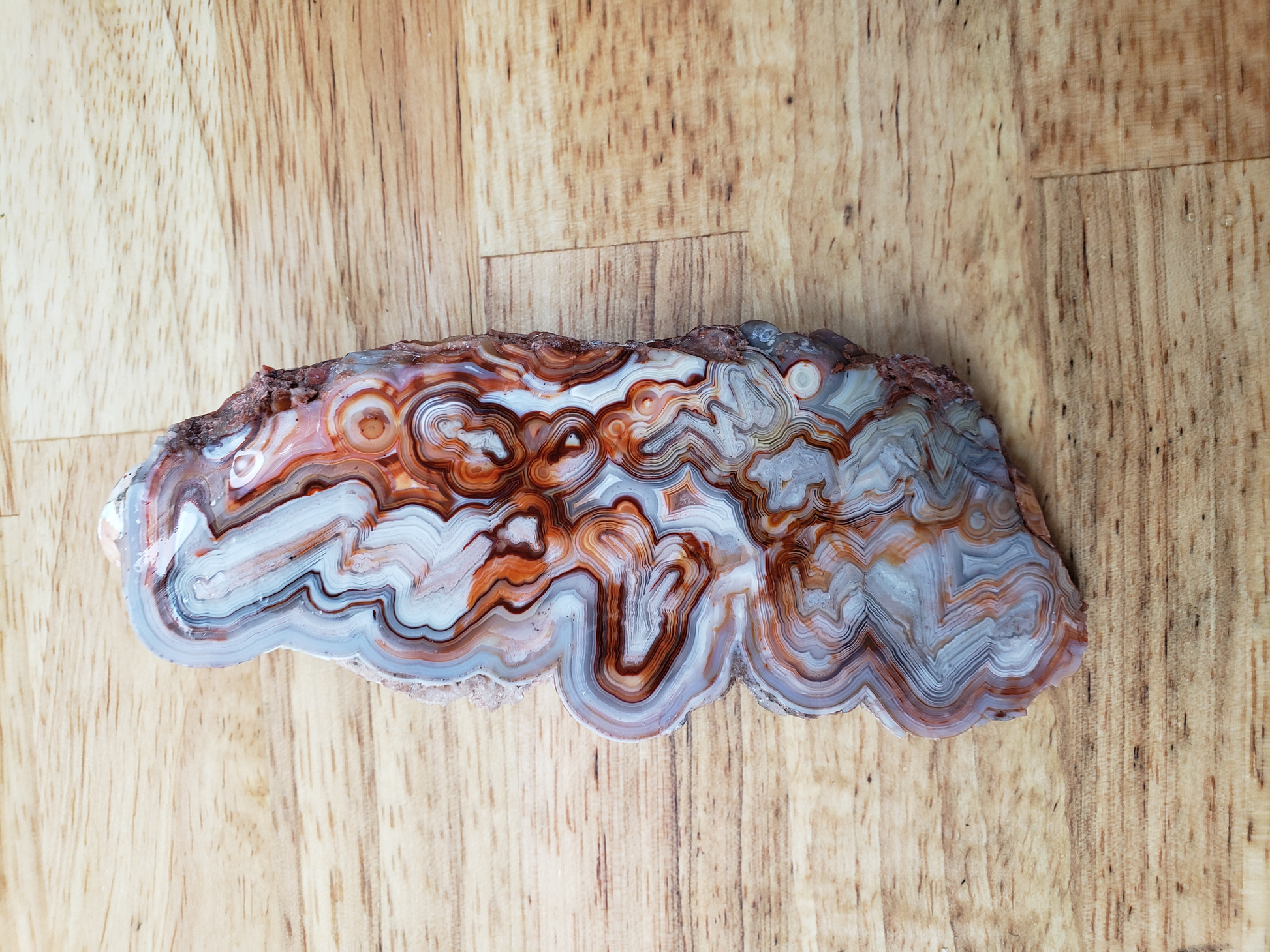 Laguna Lace Agate AG-x-00021