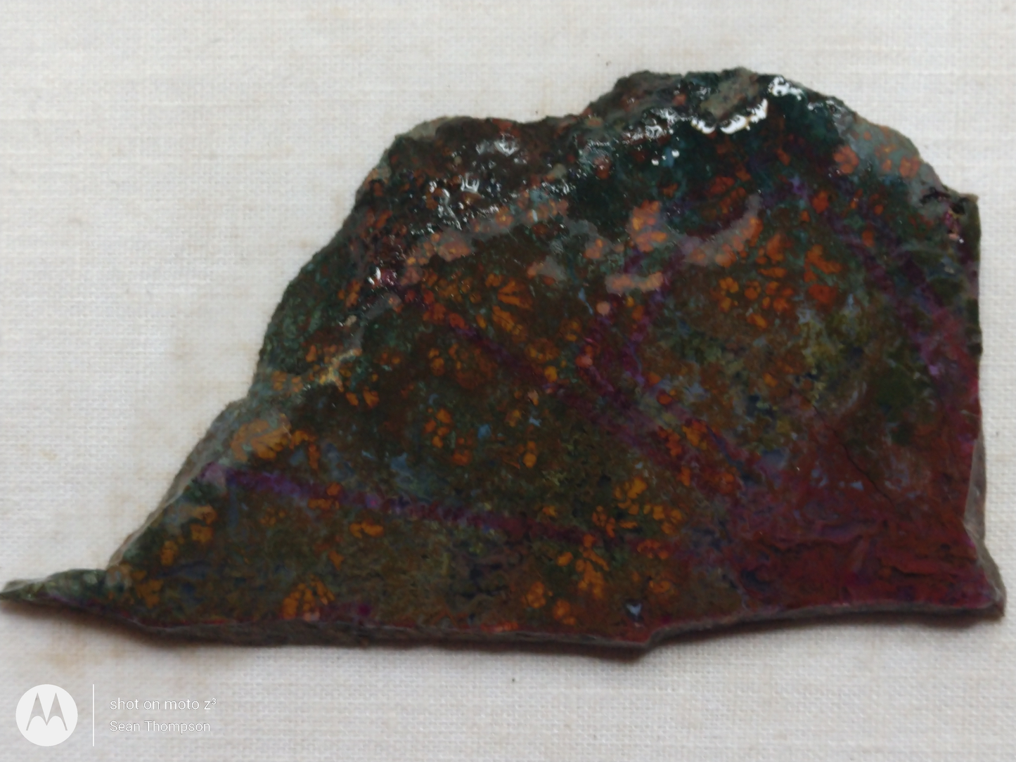 Holt Canyon Moss Agate HC-Bob-x1-00028