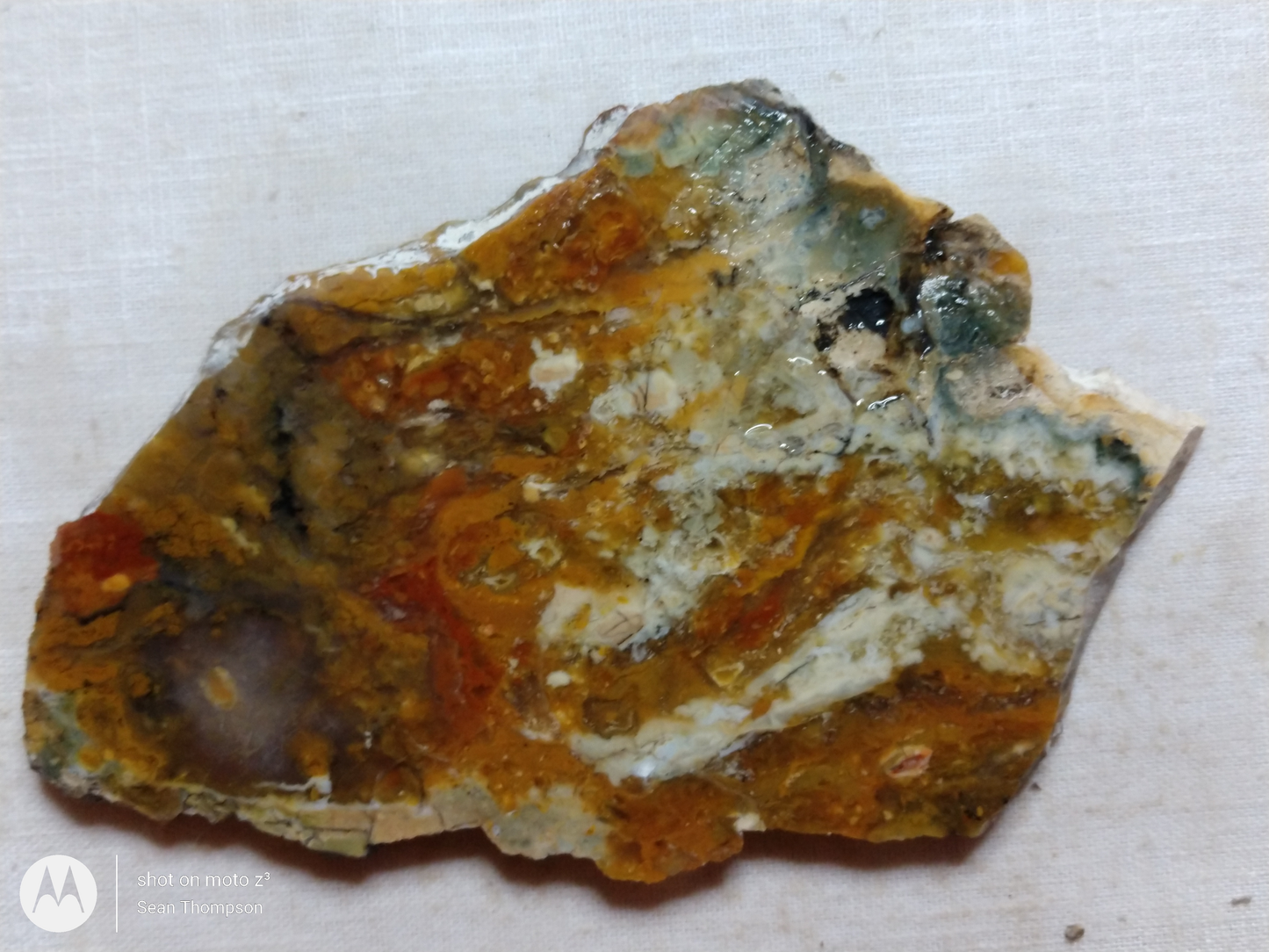 Brian Head Agate BH-00010-31