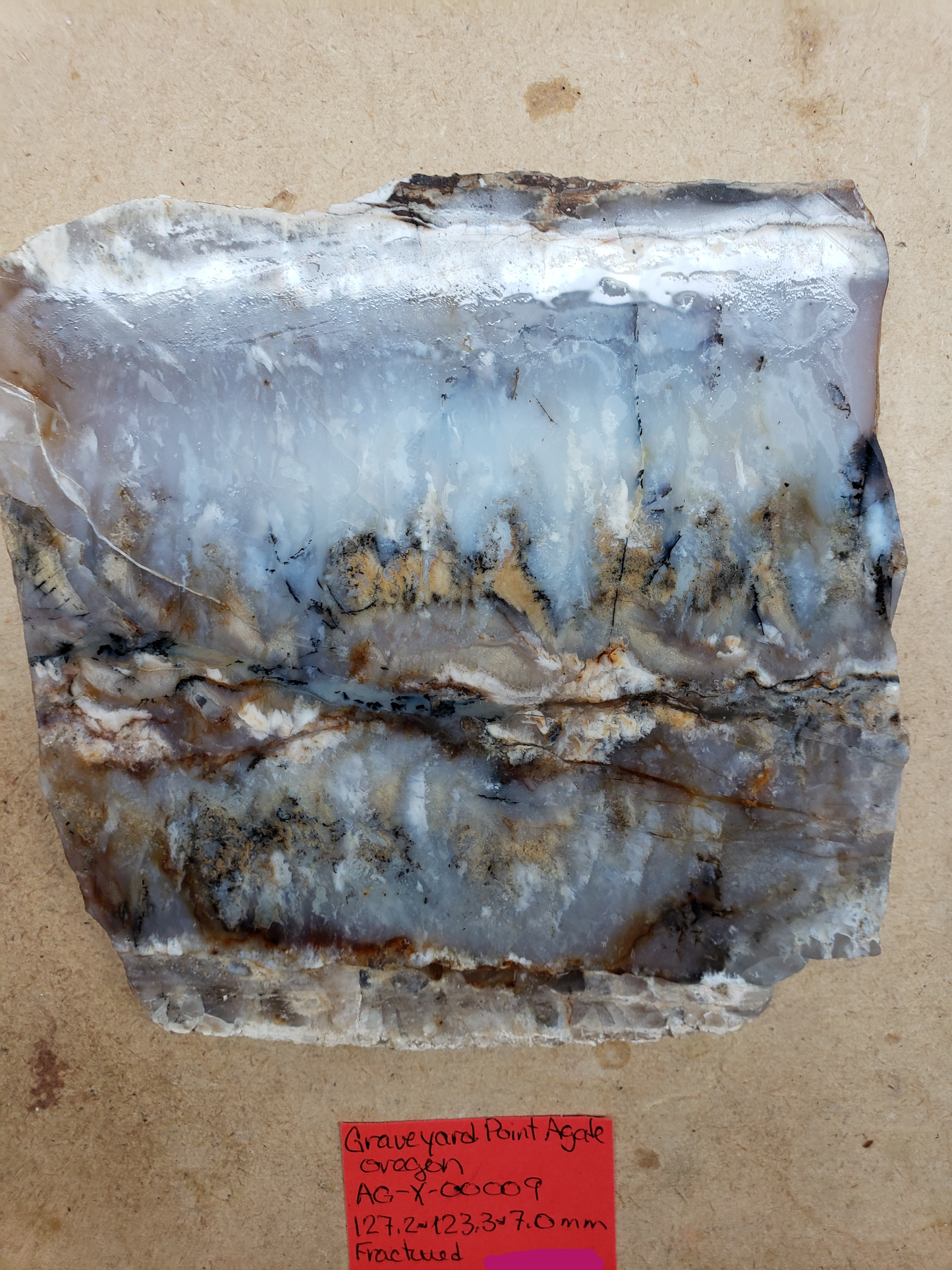 Graveyard Point Plume Agate AG-x-00009