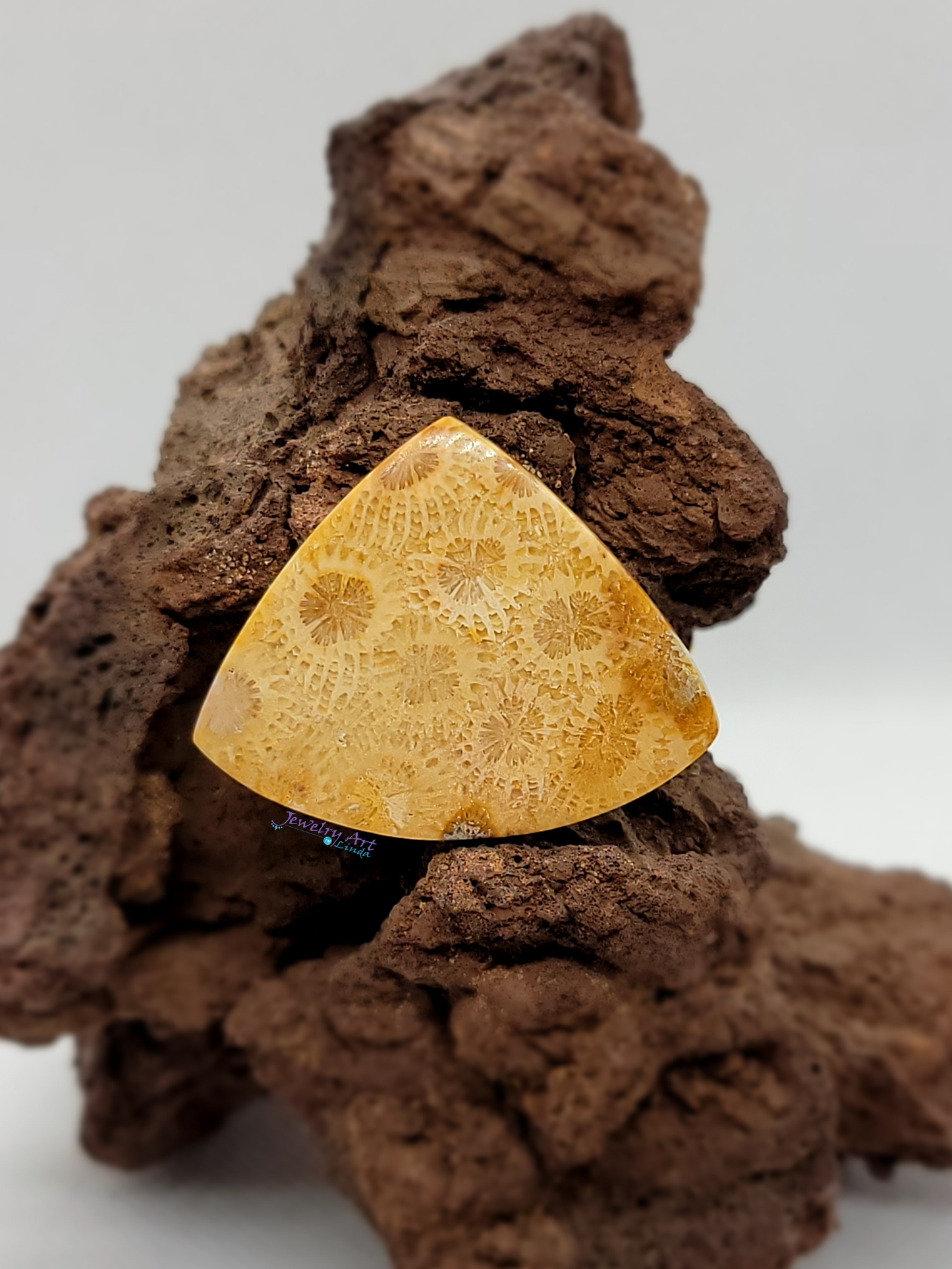 Petrified Coral FS-x-x-00046