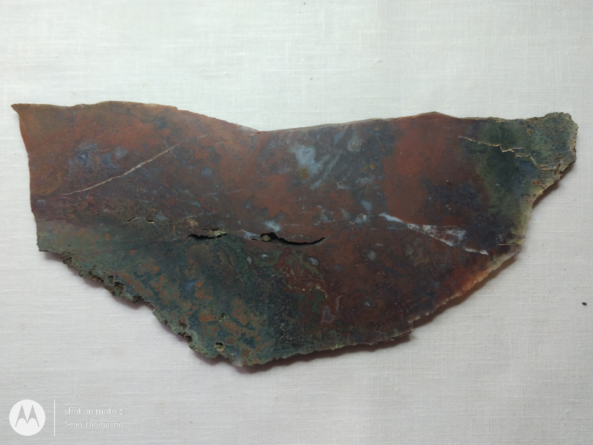 Holt Canyon Moss Agate HC-Bob-x1-00016