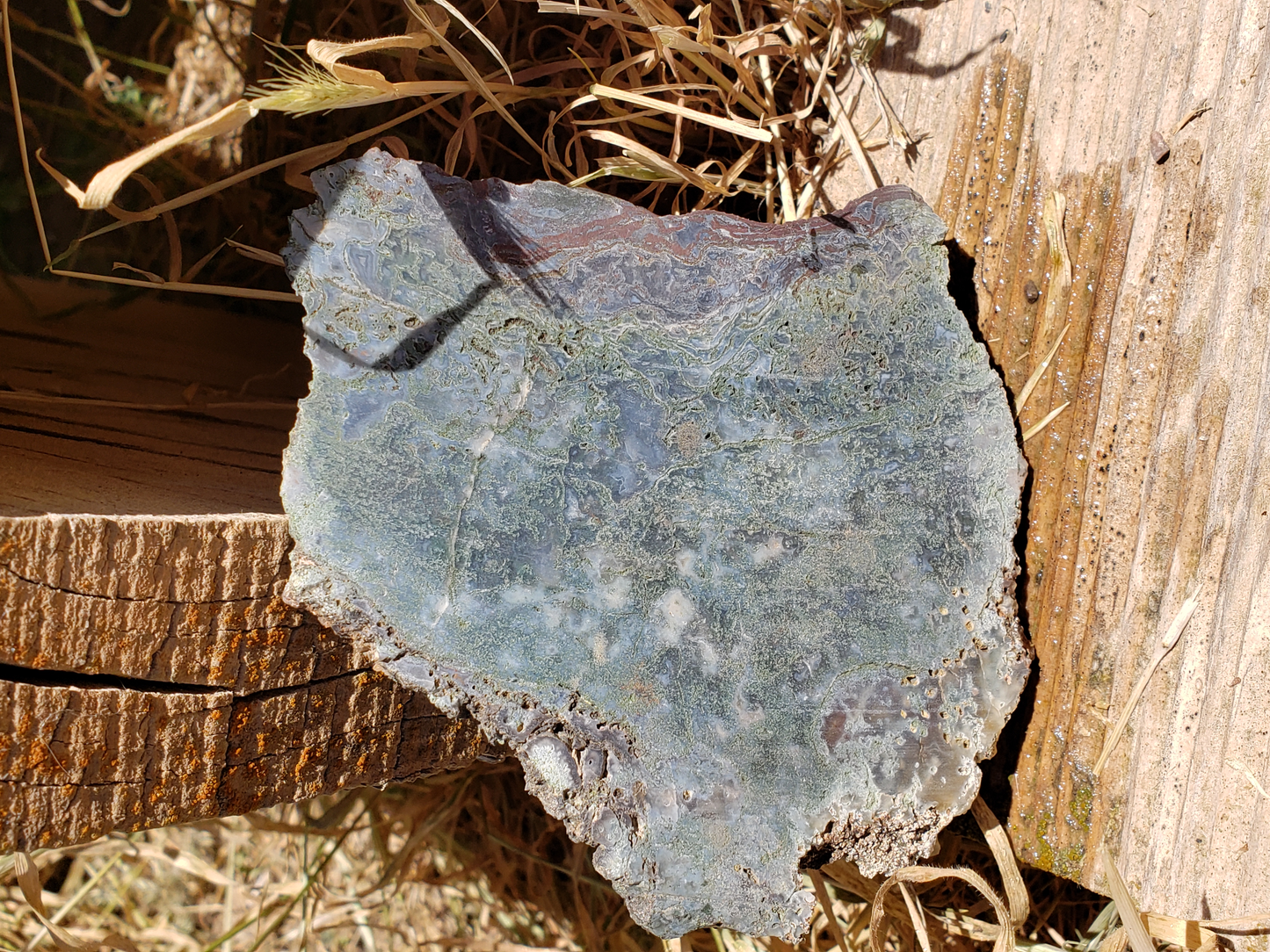 Holt Canyon Moss Agate HC-x-00005